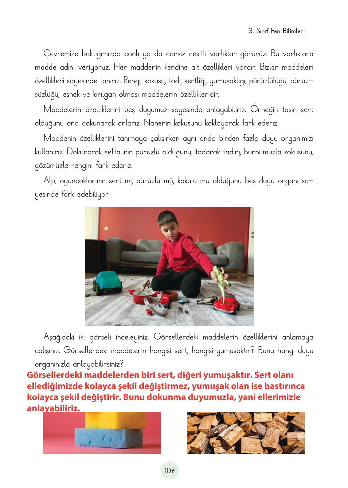3. Sınıf Fen Bilimleri Ders Kitabı Cem Yayınları Sayfa 107 Cevapları