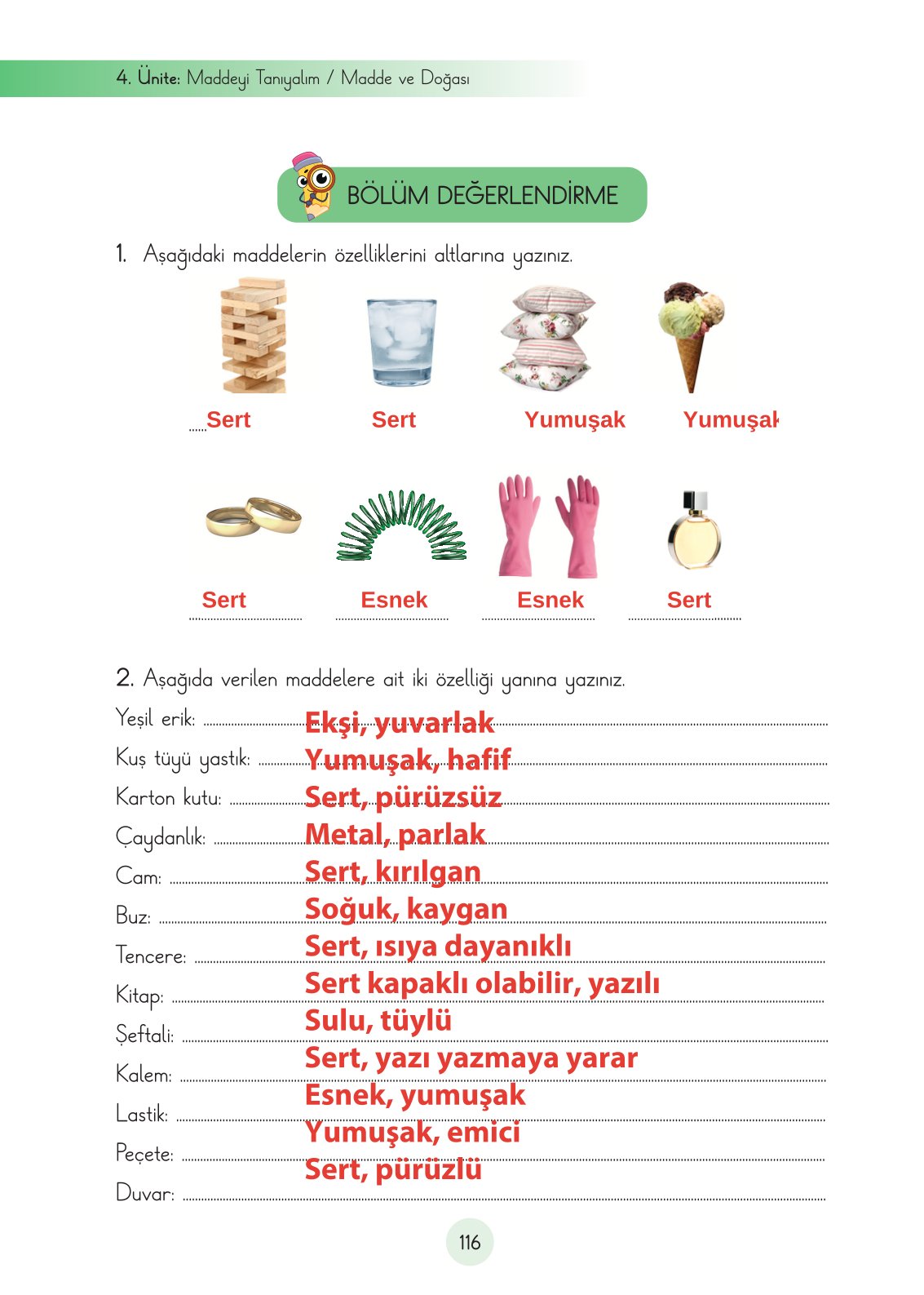 3. Sınıf Fen Bilimleri Ders Kitabı Cem Yayınları Sayfa 116 Cevapları
