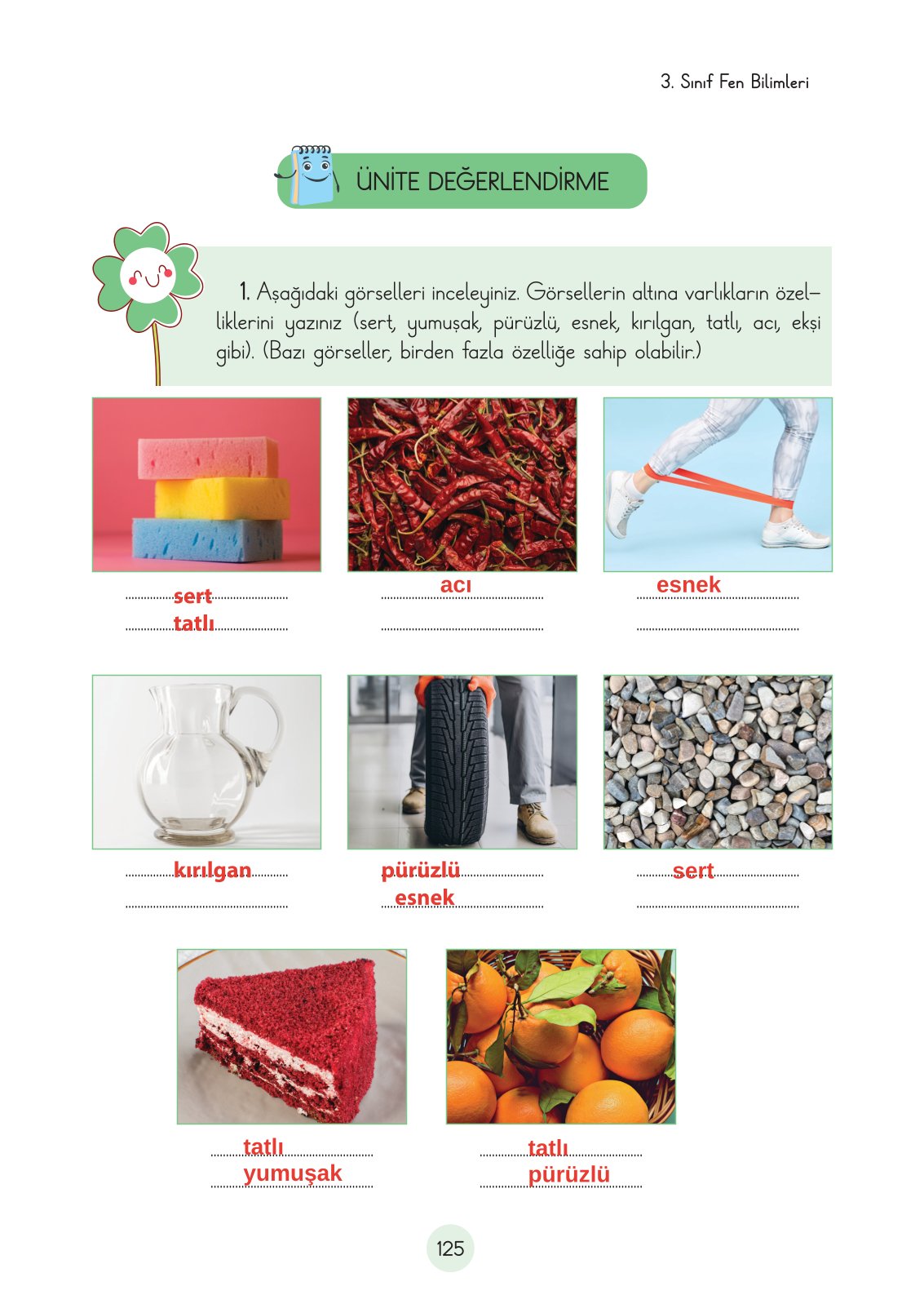 3. Sınıf Fen Bilimleri Ders Kitabı Cem Yayınları Sayfa 125 Cevapları
