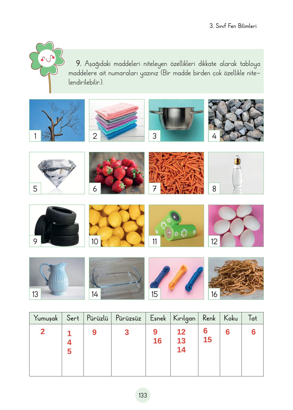 3. Sınıf Fen Bilimleri Ders Kitabı Cem Yayınları Sayfa 133 Cevapları