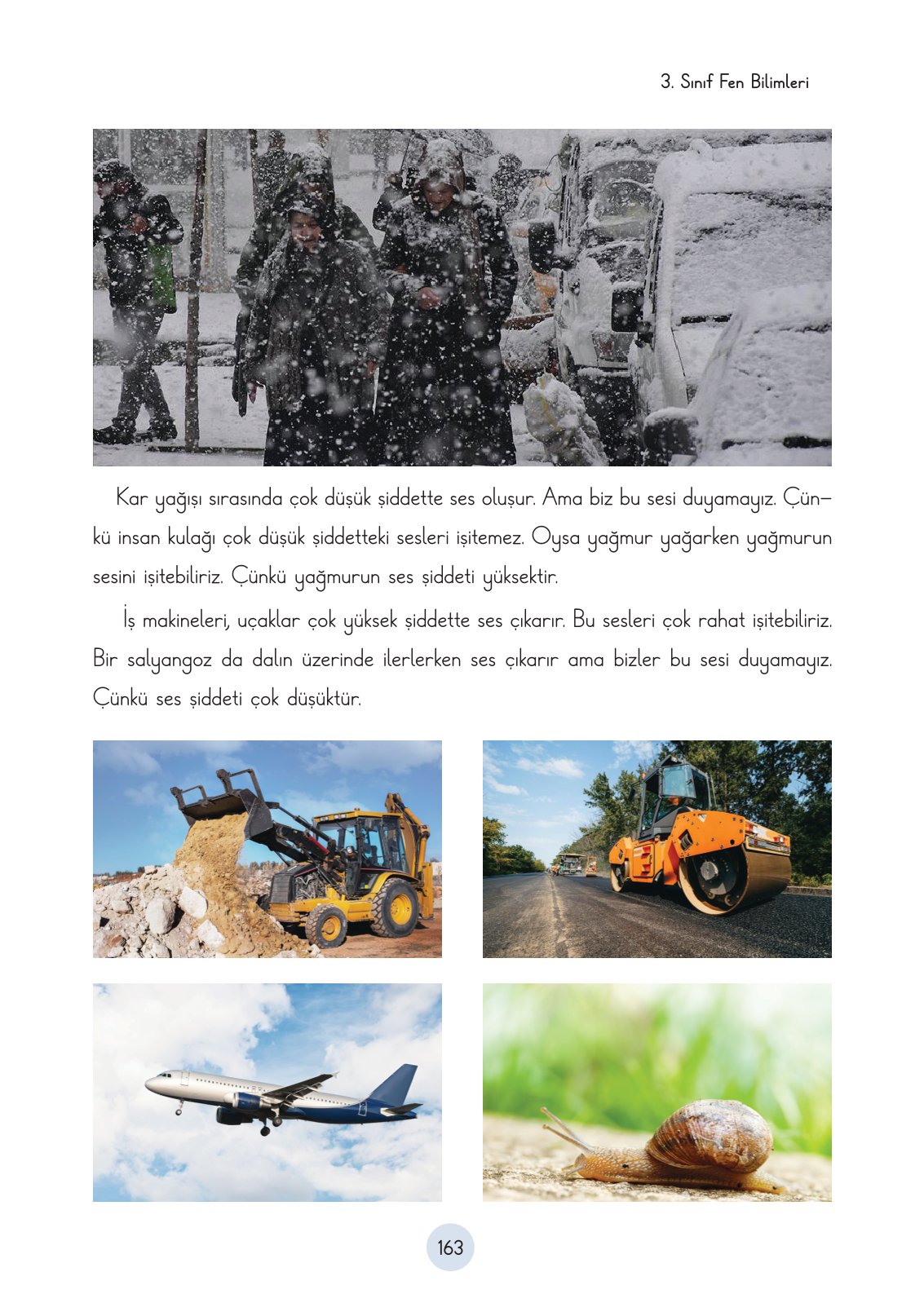 3. Sınıf Fen Bilimleri Ders Kitabı Cem Yayınları Sayfa 163 Cevapları