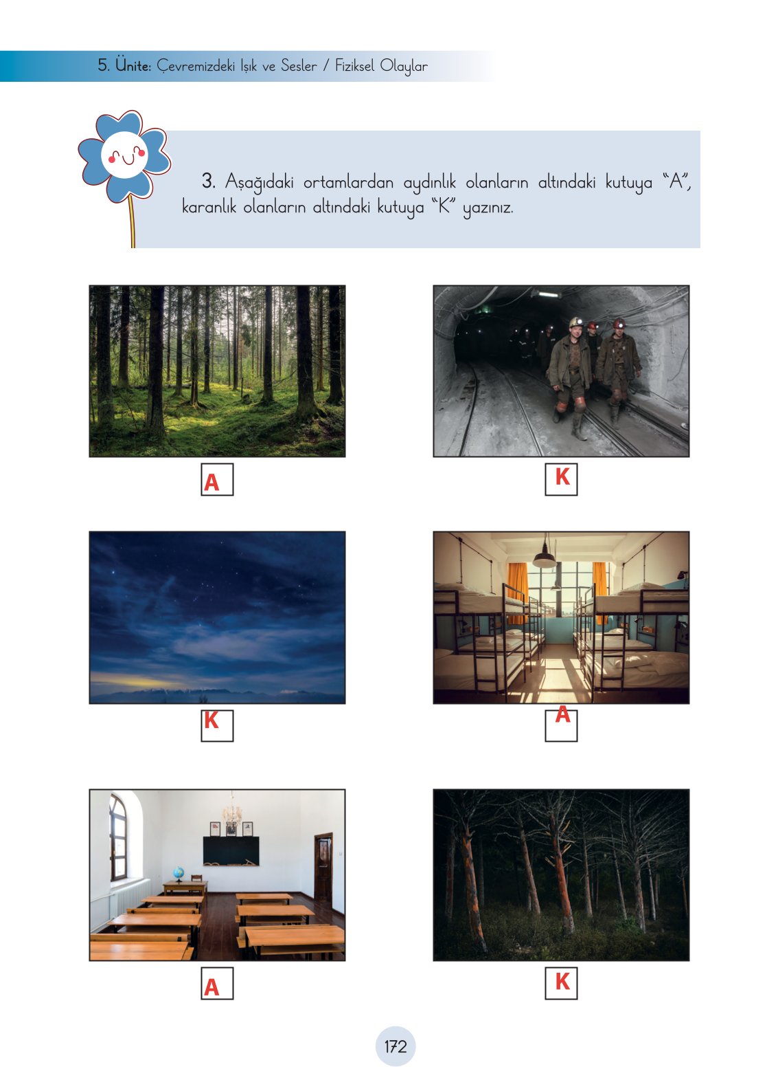 3. Sınıf Fen Bilimleri Ders Kitabı Cem Yayınları Sayfa 172 Cevapları