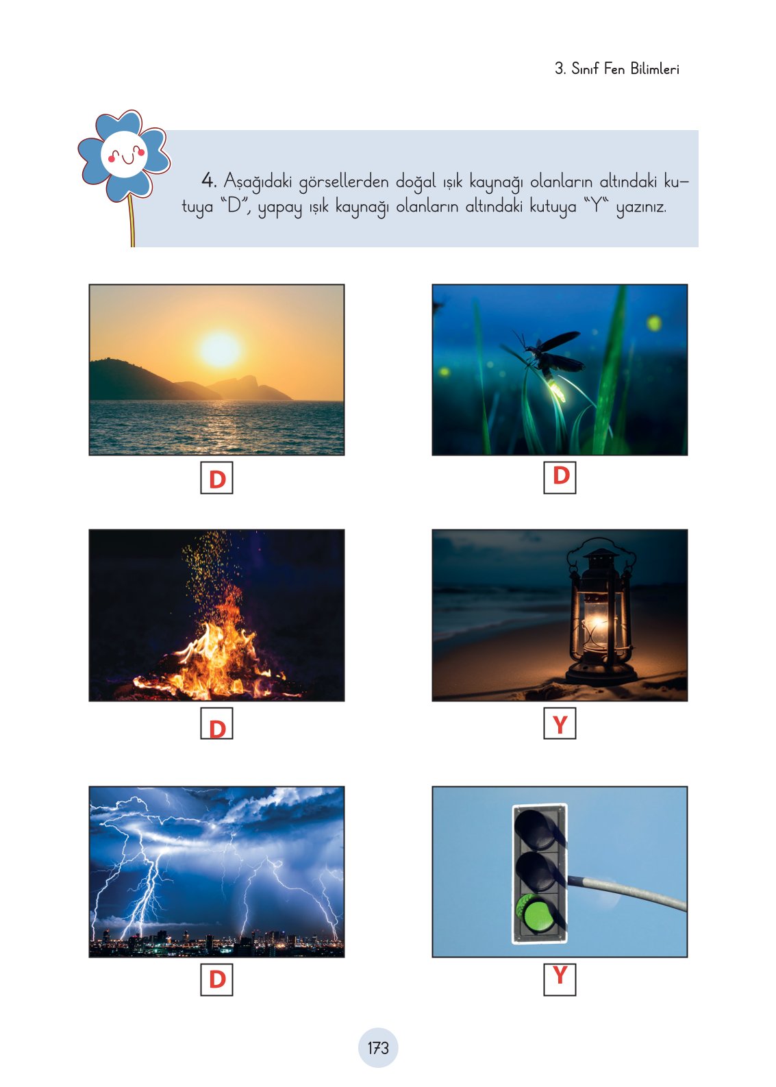 3. Sınıf Fen Bilimleri Ders Kitabı Cem Yayınları Sayfa 173 Cevapları