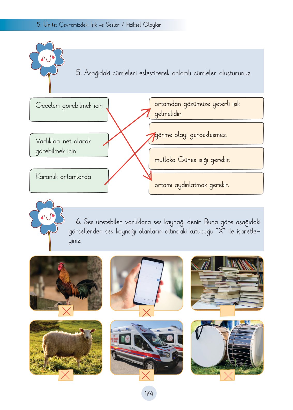 3. Sınıf Fen Bilimleri Ders Kitabı Cem Yayınları Sayfa 174 Cevapları