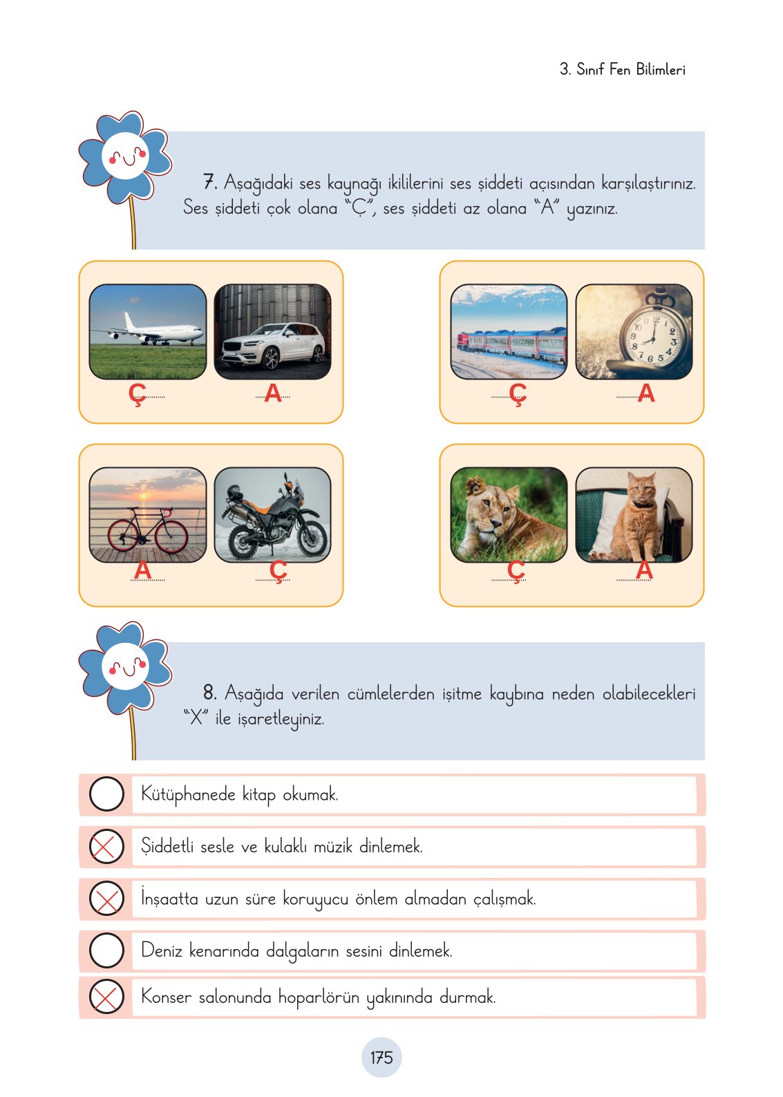 3. Sınıf Fen Bilimleri Ders Kitabı Cem Yayınları Sayfa 175 Cevapları
