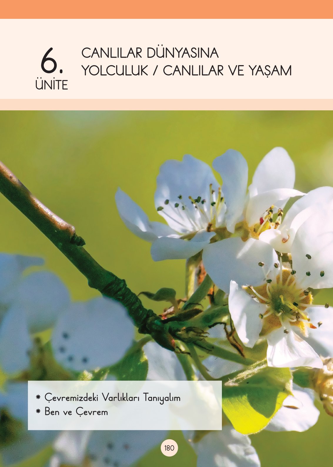 3. Sınıf Fen Bilimleri Ders Kitabı Cem Yayınları Sayfa 180 Cevapları