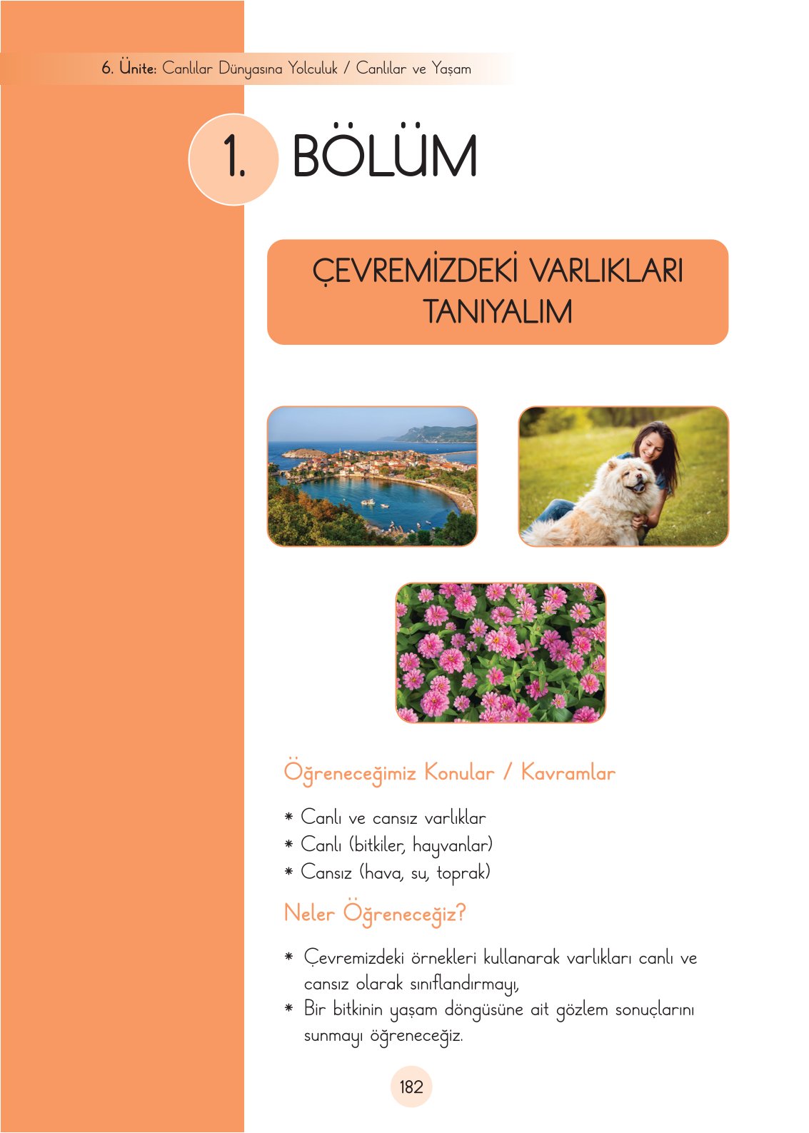 3. Sınıf Fen Bilimleri Ders Kitabı Cem Yayınları Sayfa 182 Cevapları