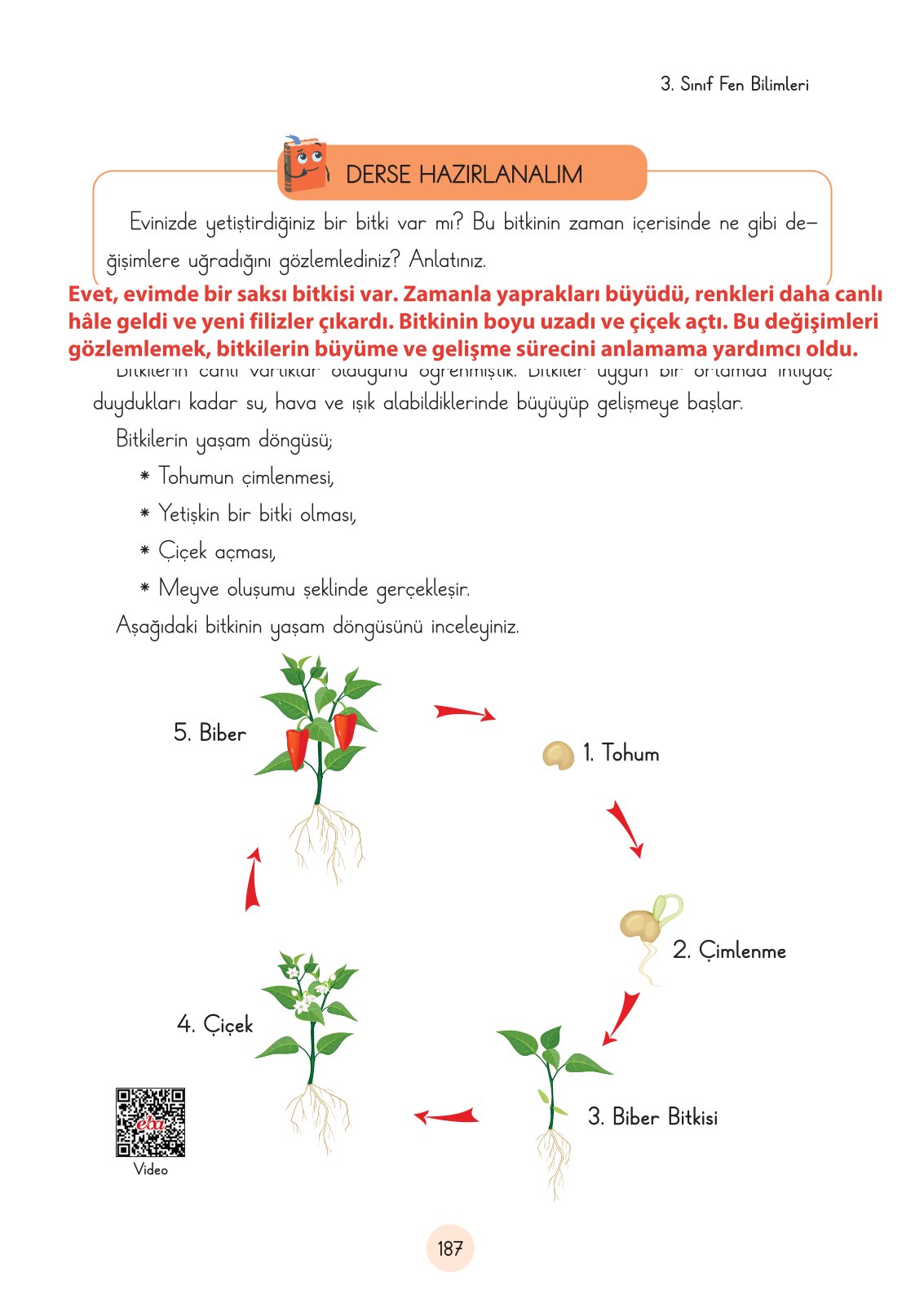 3. Sınıf Fen Bilimleri Ders Kitabı Cem Yayınları Sayfa 187 Cevapları