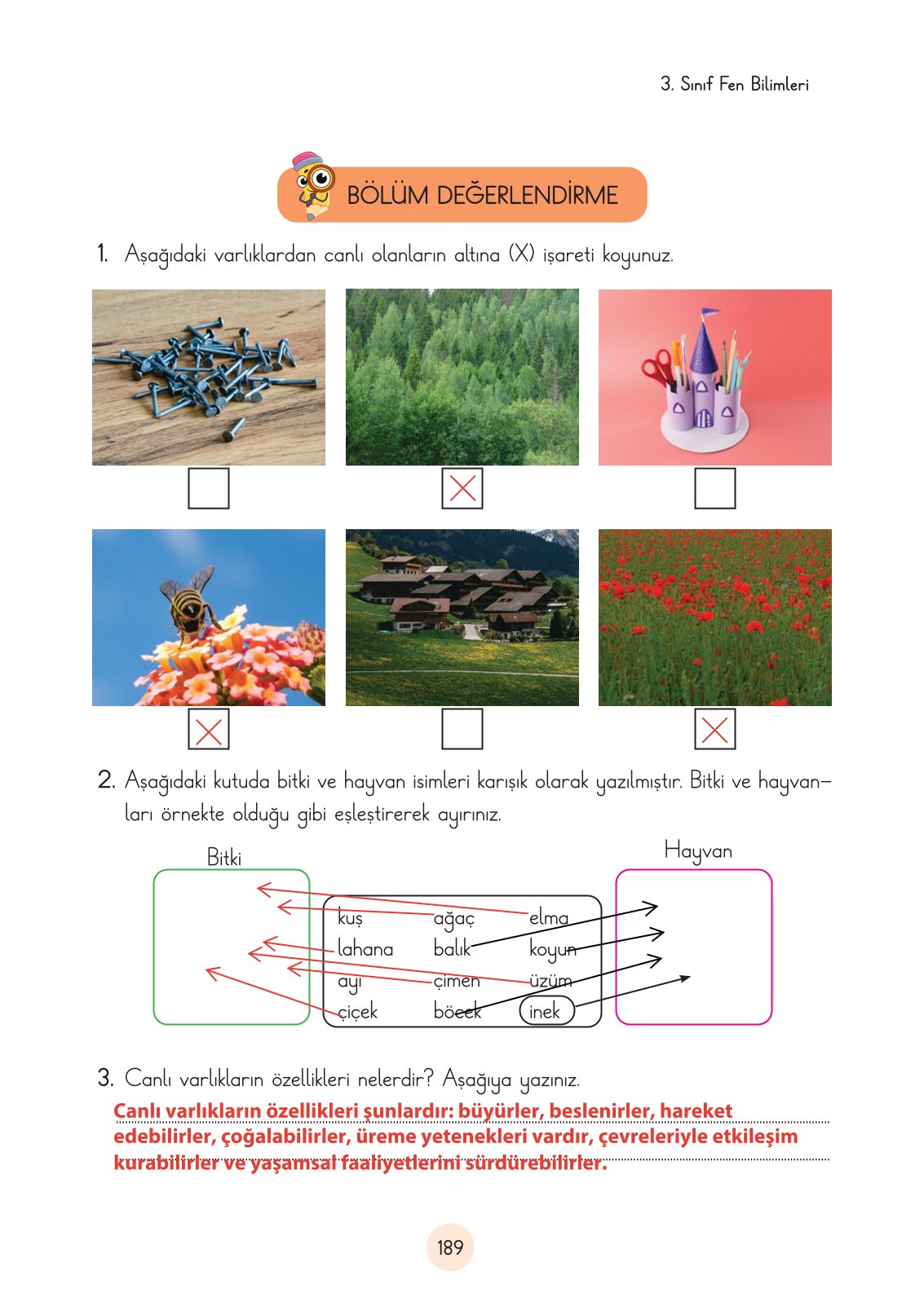 3. Sınıf Fen Bilimleri Ders Kitabı Cem Yayınları Sayfa 189 Cevapları