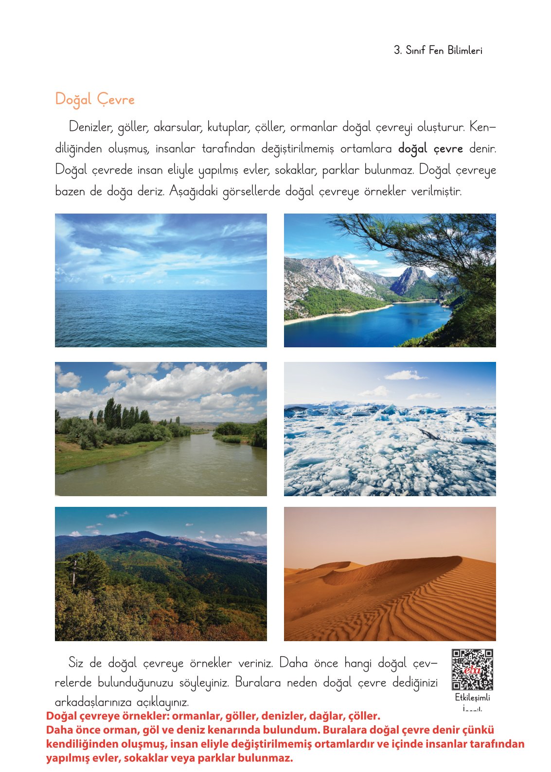 3. Sınıf Fen Bilimleri Ders Kitabı Cem Yayınları Sayfa 197 Cevapları