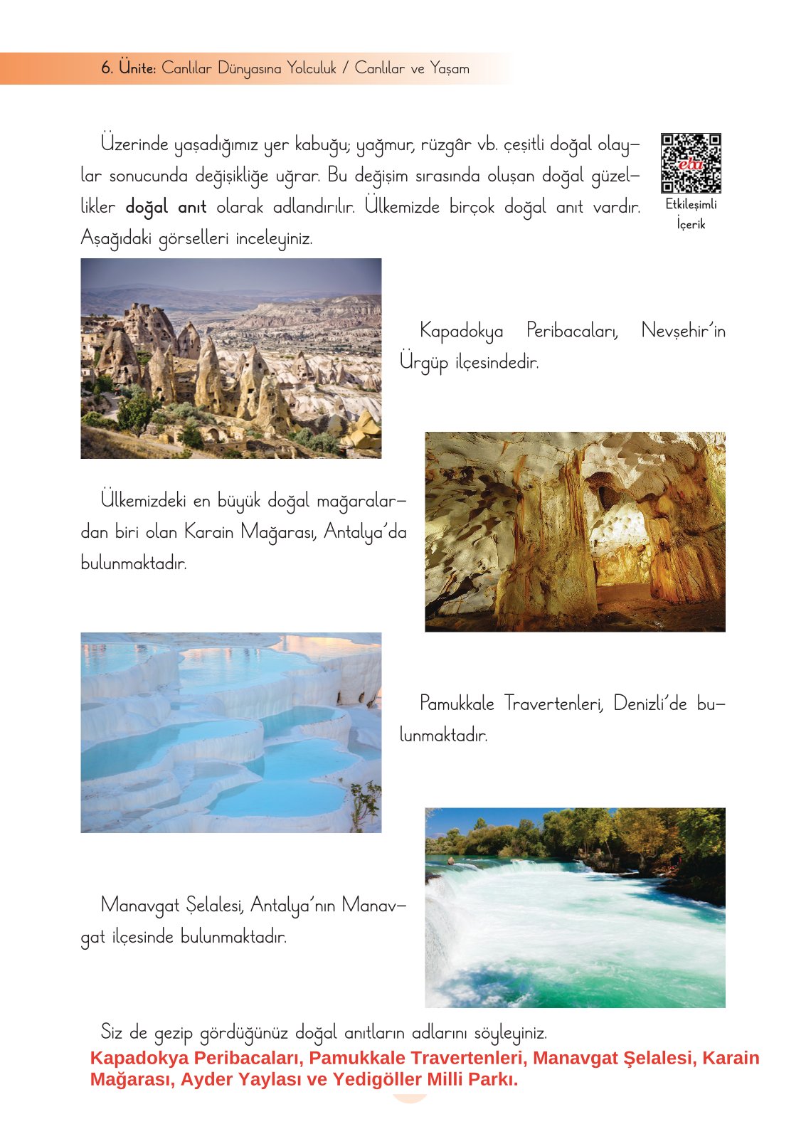 3. Sınıf Fen Bilimleri Ders Kitabı Cem Yayınları Sayfa 202 Cevapları