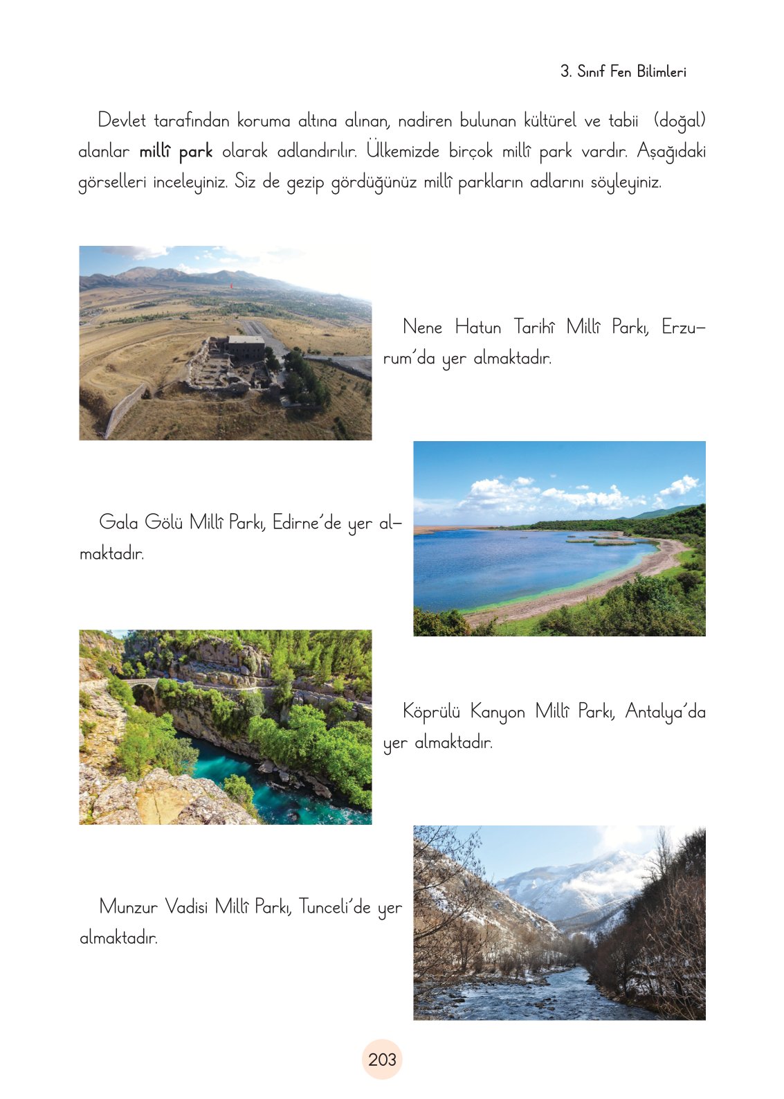 3. Sınıf Fen Bilimleri Ders Kitabı Cem Yayınları Sayfa 203 Cevapları
