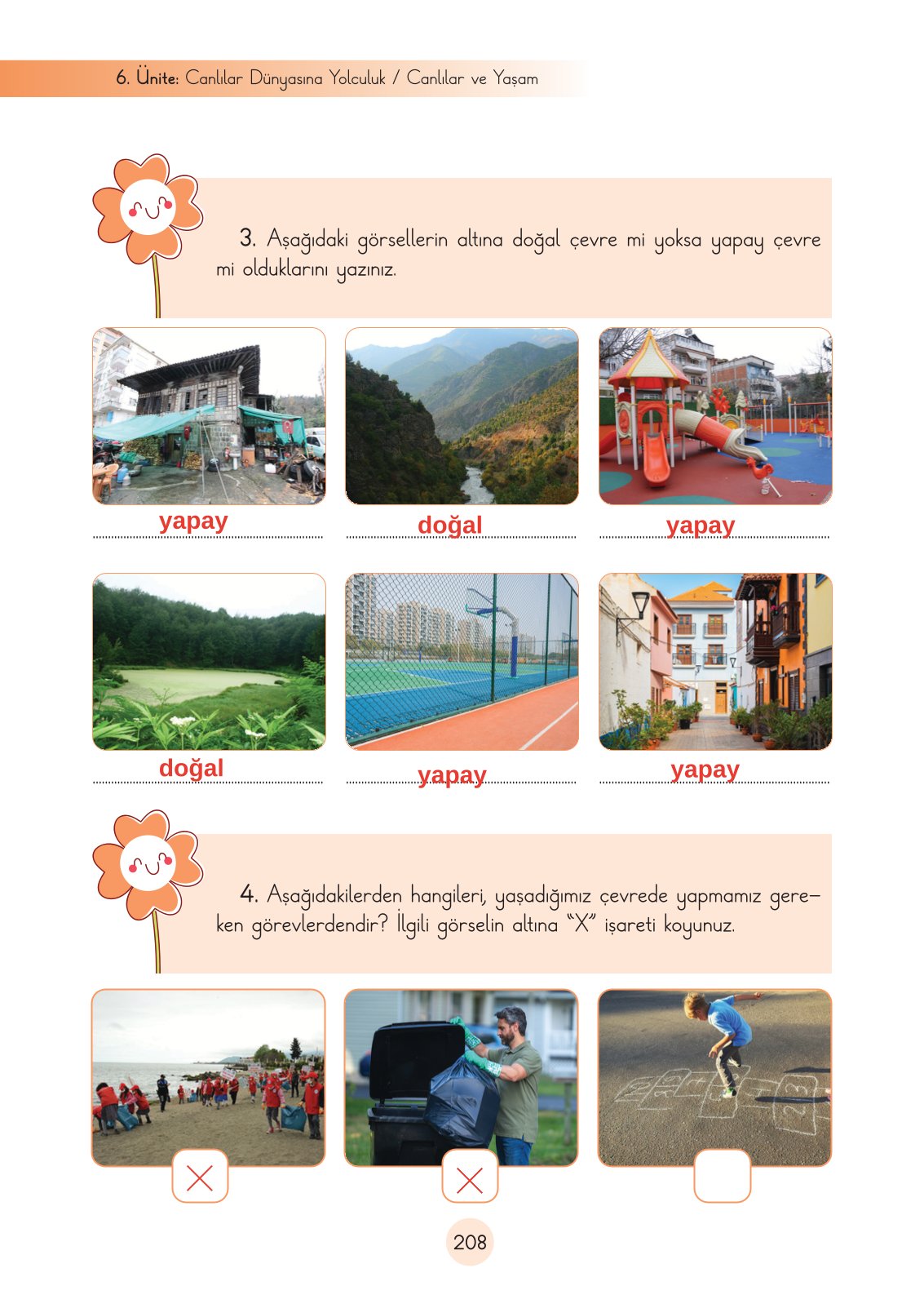 3. Sınıf Fen Bilimleri Ders Kitabı Cem Yayınları Sayfa 208 Cevapları