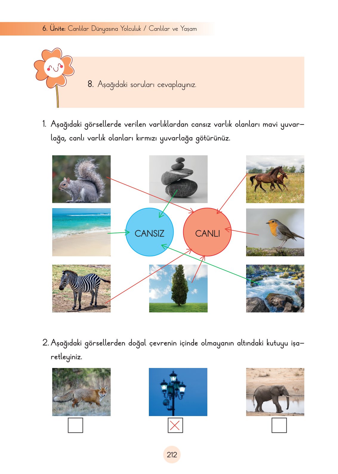 3. Sınıf Fen Bilimleri Ders Kitabı Cem Yayınları Sayfa 212 Cevapları 3. Sınıf Fen Bilimleri Ders Kitabı Cem Yayınları Sayfa 212 Cevapları