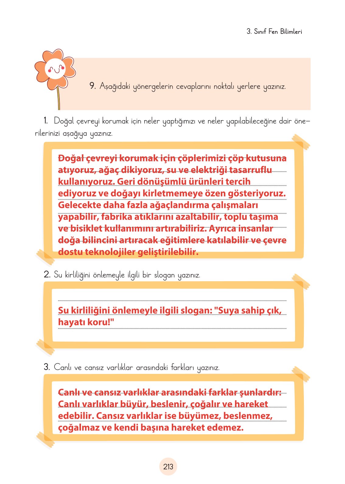 3. Sınıf Fen Bilimleri Ders Kitabı Cem Yayınları Sayfa 213 Cevapları