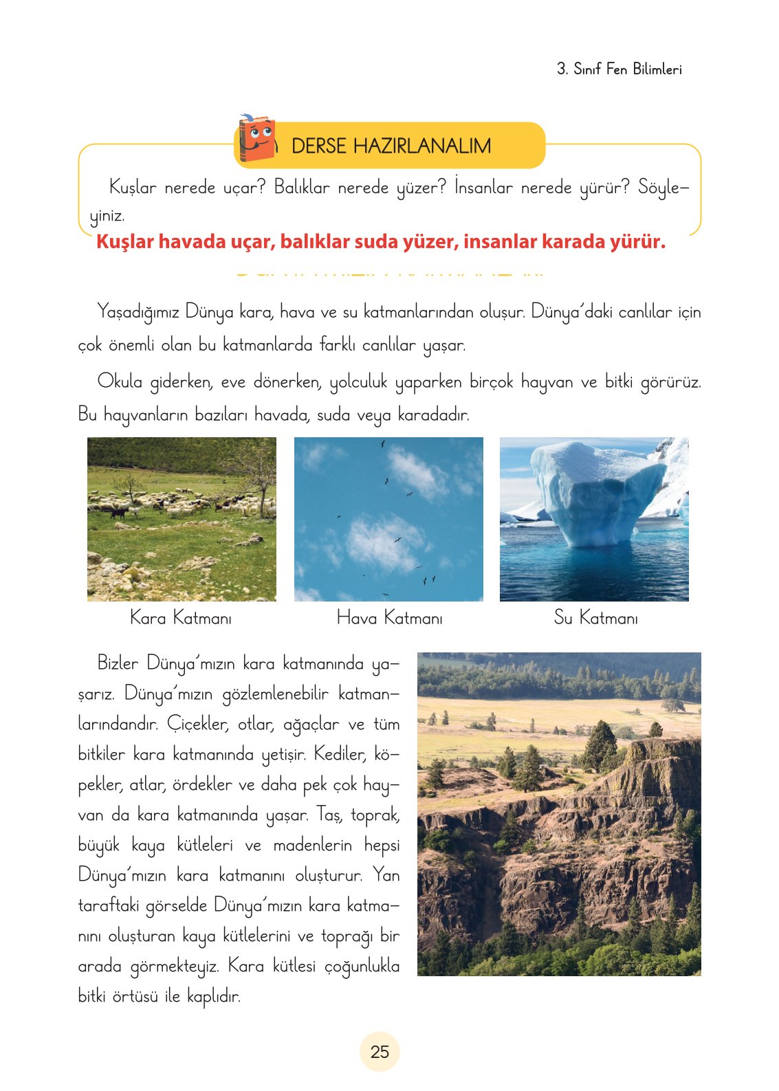 3. Sınıf Fen Bilimleri Ders Kitabı Cem Yayınları Sayfa 25 Cevapları
