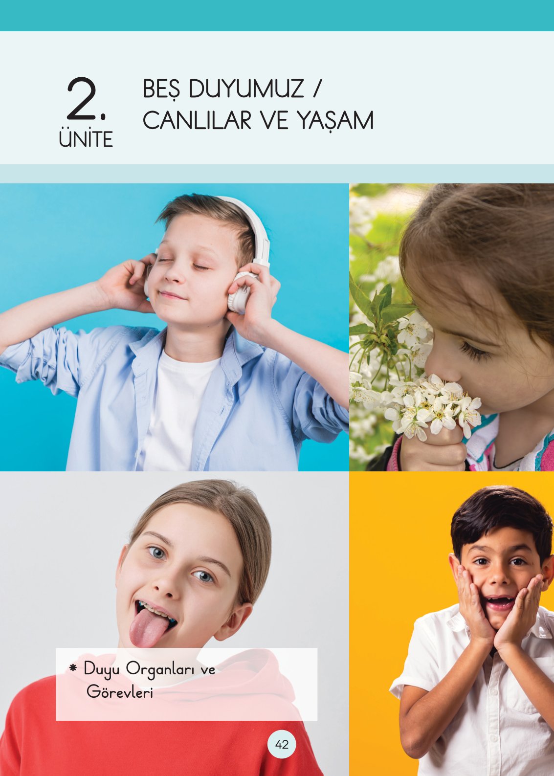 3. Sınıf Fen Bilimleri Ders Kitabı Cem Yayınları Sayfa 42 Cevapları 3. Sınıf Fen Bilimleri Ders Kitabı Cem Yayınları Sayfa 42 Cevapları