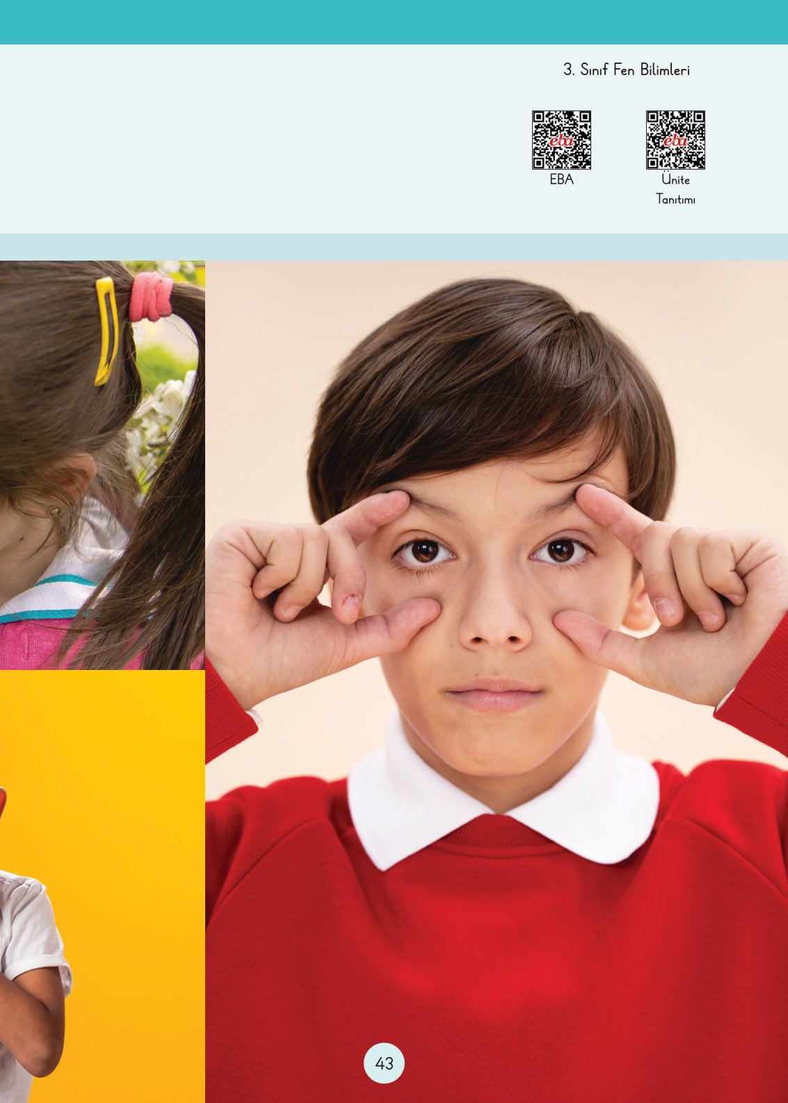 3. Sınıf Fen Bilimleri Ders Kitabı Cem Yayınları Sayfa 43 Cevapları