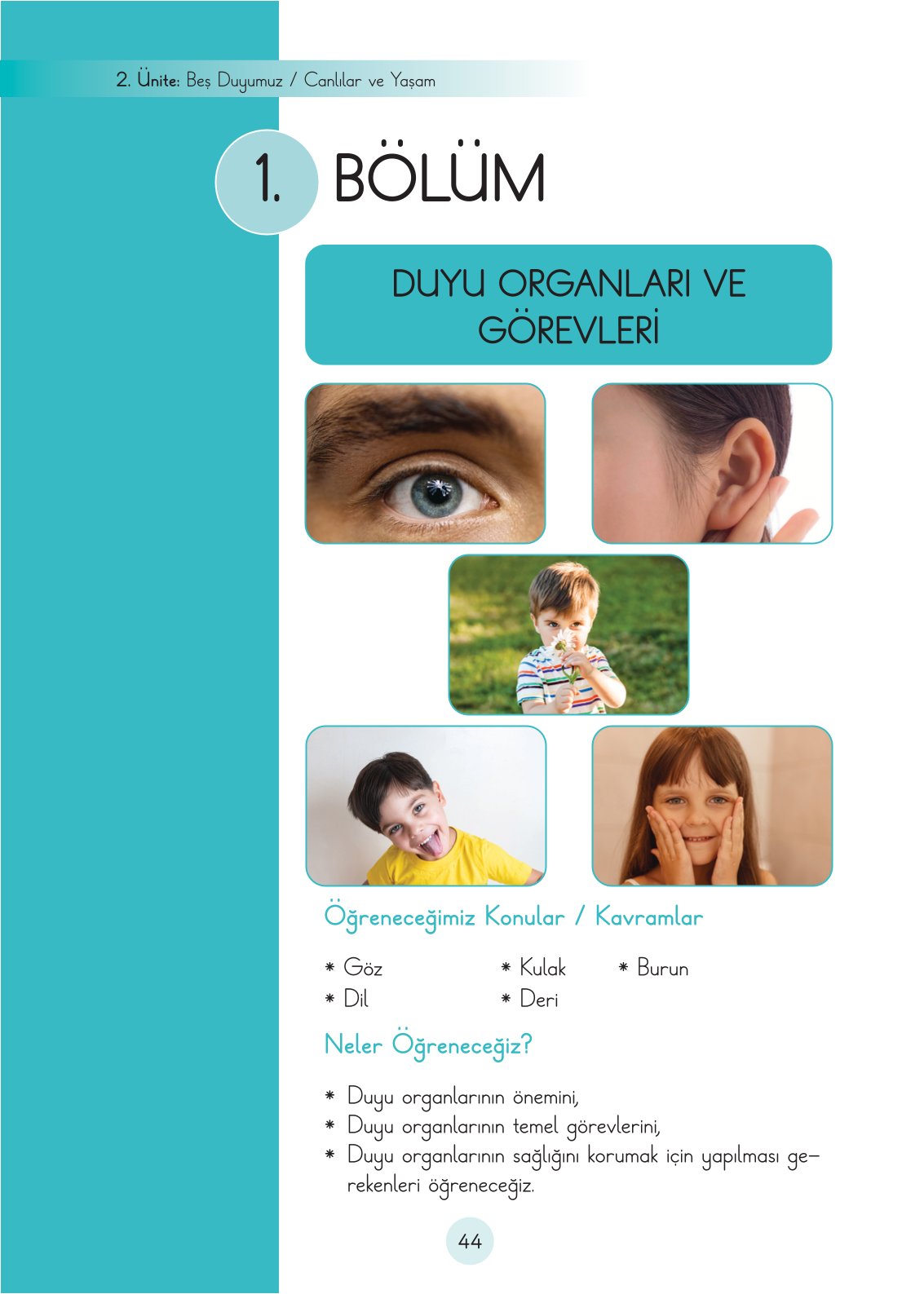 3. Sınıf Fen Bilimleri Ders Kitabı Cem Yayınları Sayfa 44 Cevapları 3. Sınıf Fen Bilimleri Ders Kitabı Cem Yayınları Sayfa 44 Cevapları