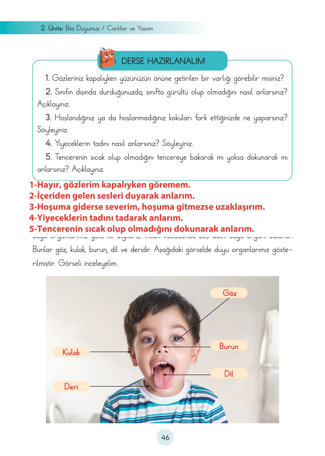 3. Sınıf Fen Bilimleri Ders Kitabı Cem Yayınları Sayfa 46 Cevapları