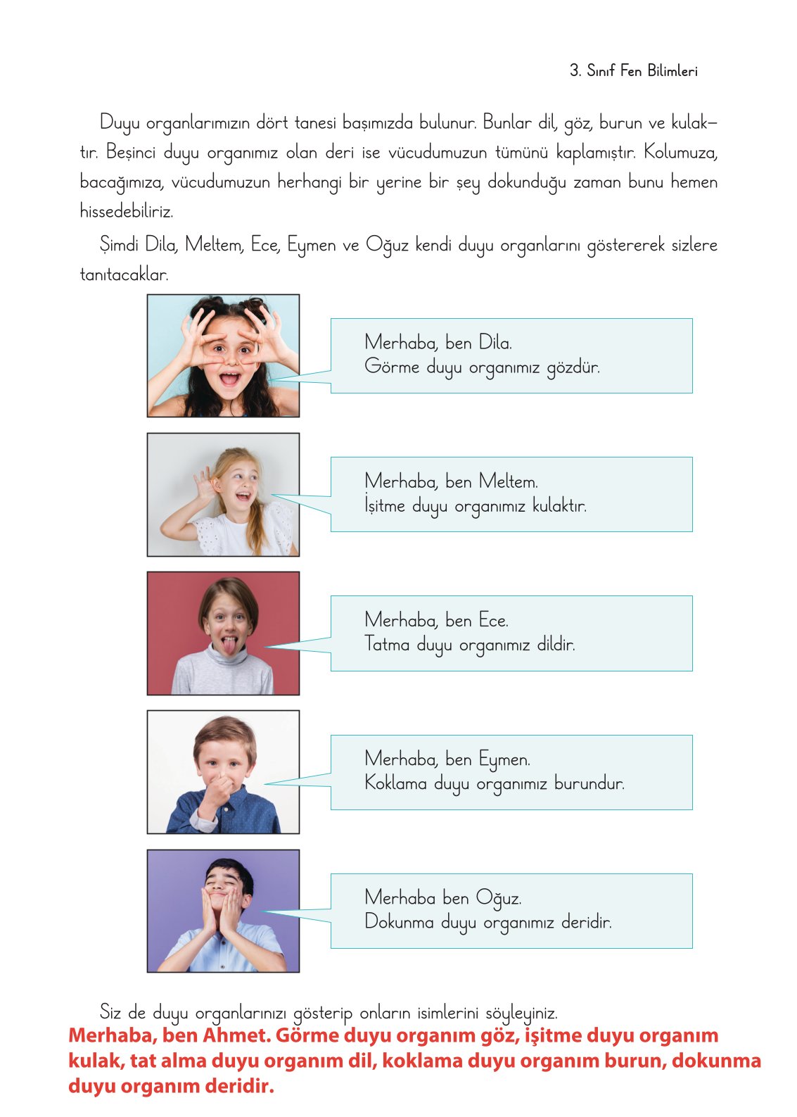 3. Sınıf Fen Bilimleri Ders Kitabı Cem Yayınları Sayfa 47 Cevapları 3. Sınıf Fen Bilimleri Ders Kitabı Cem Yayınları Sayfa 47 Cevapları