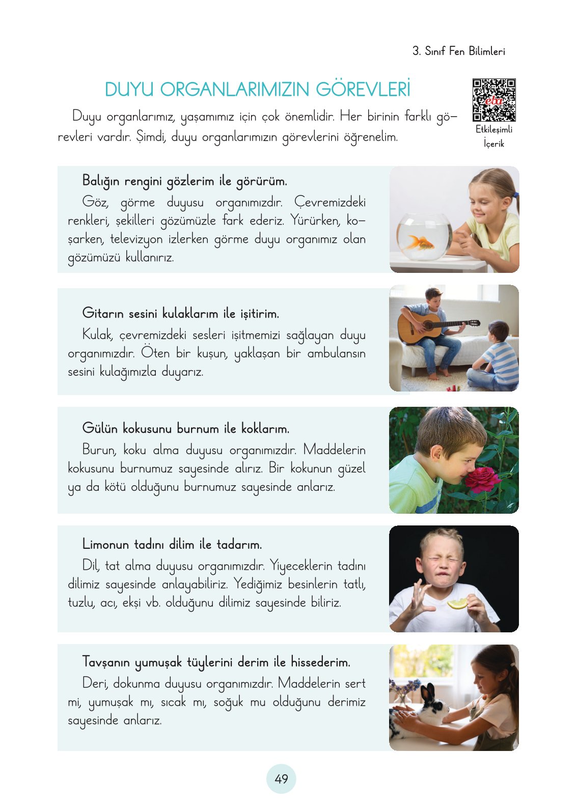 3. Sınıf Fen Bilimleri Ders Kitabı Cem Yayınları Sayfa 49 Cevapları