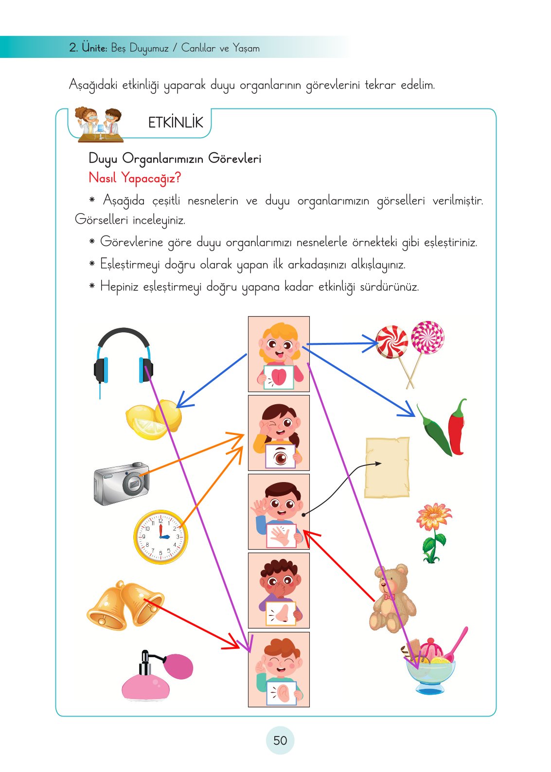 3. Sınıf Fen Bilimleri Ders Kitabı Cem Yayınları Sayfa 50 Cevapları