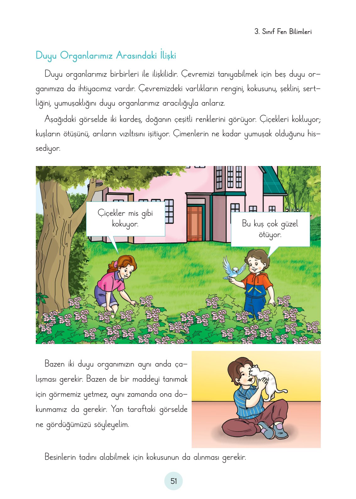 3. Sınıf Fen Bilimleri Ders Kitabı Cem Yayınları Sayfa 51 Cevapları