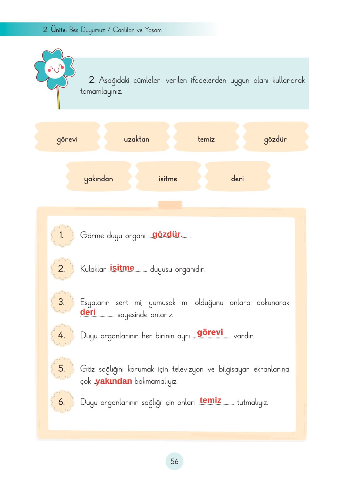 3. Sınıf Fen Bilimleri Ders Kitabı Cem Yayınları Sayfa 56 Cevapları