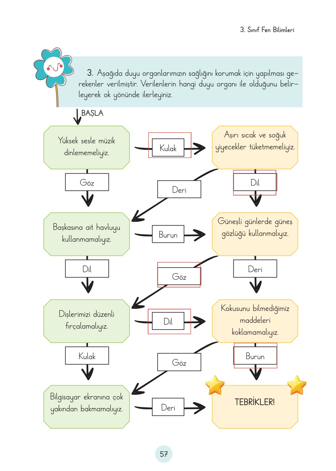 3. Sınıf Fen Bilimleri Ders Kitabı Cem Yayınları Sayfa 57 Cevapları