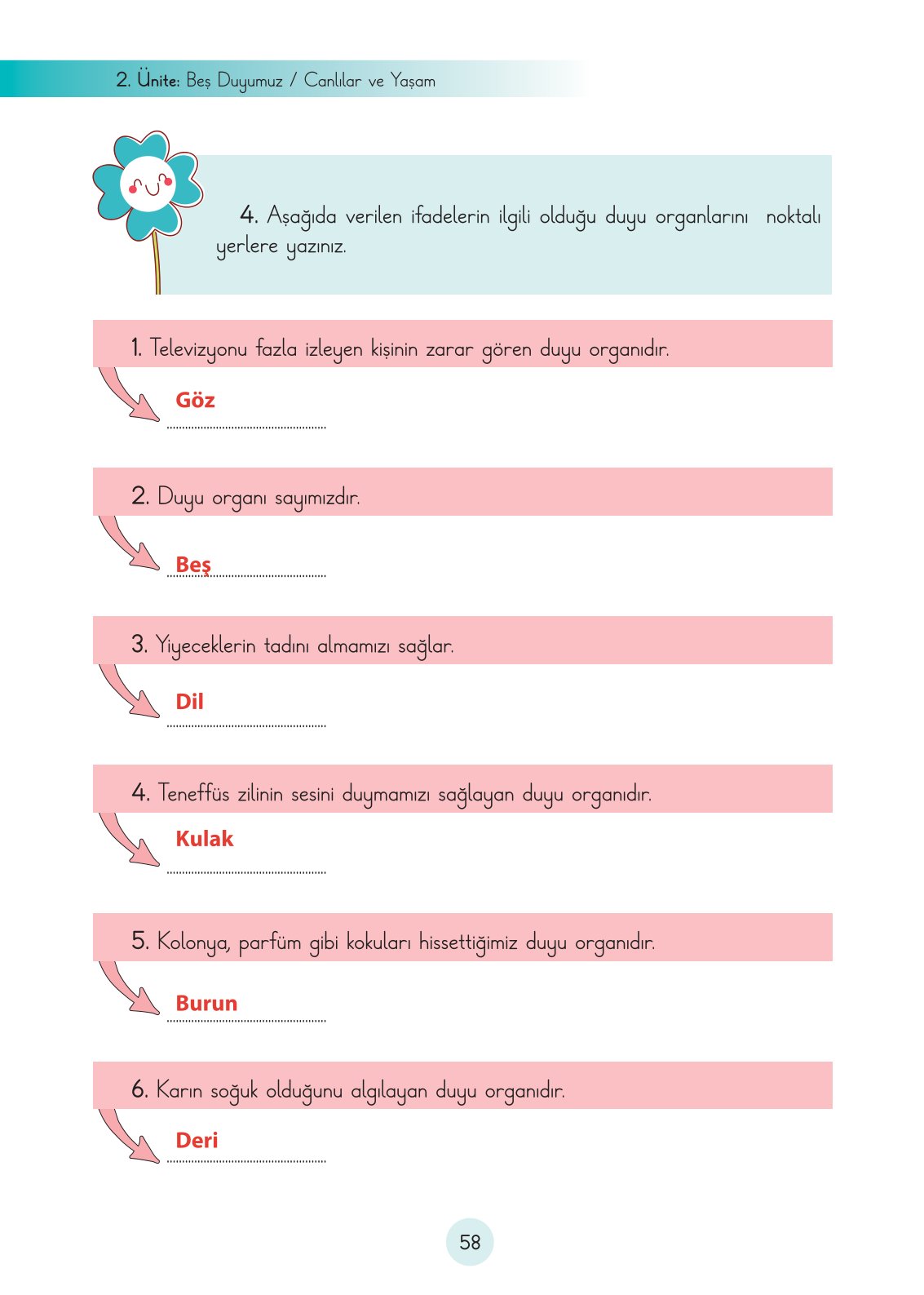 3. Sınıf Fen Bilimleri Ders Kitabı Cem Yayınları Sayfa 58 Cevapları