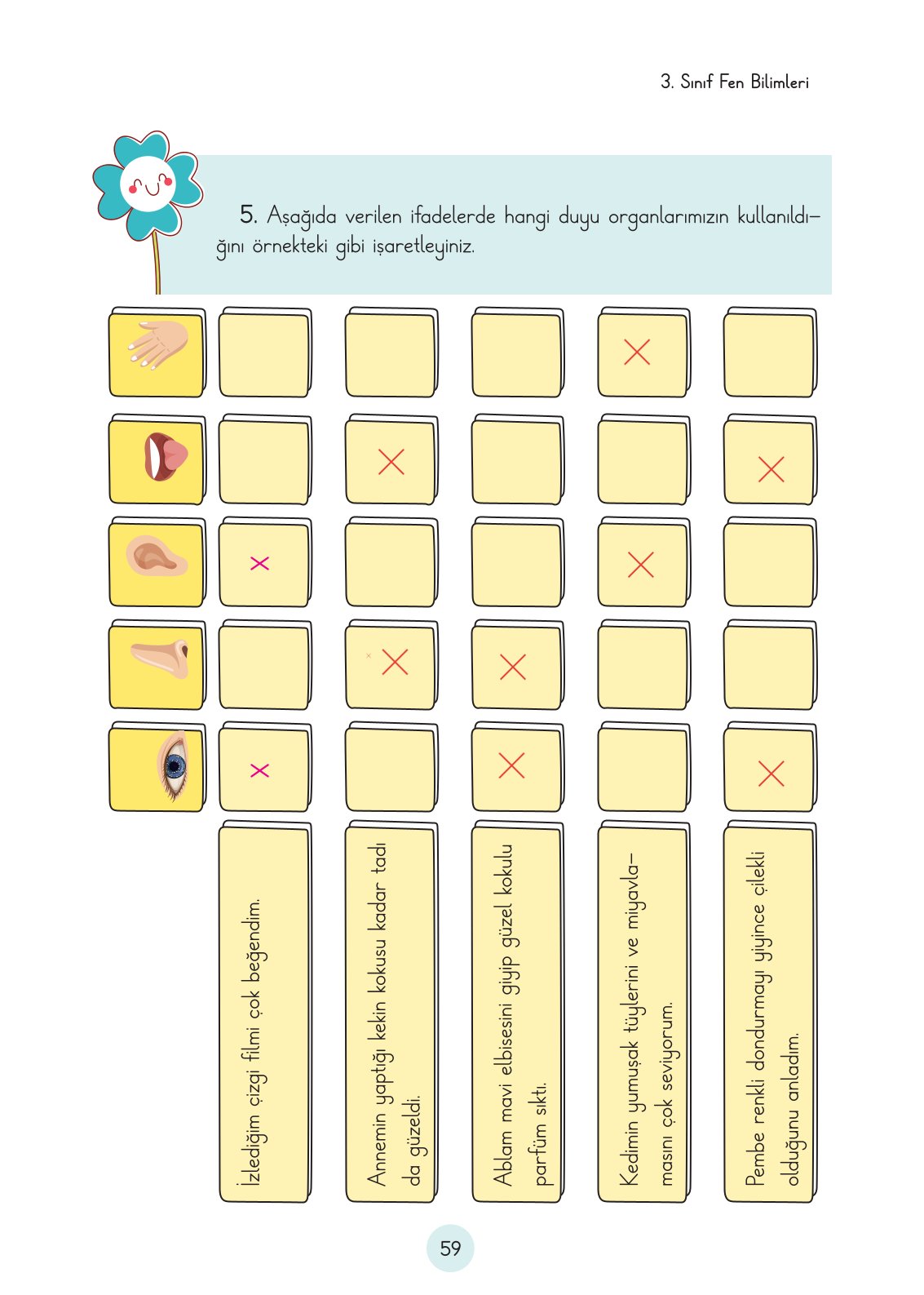 3. Sınıf Fen Bilimleri Ders Kitabı Cem Yayınları Sayfa 59 Cevapları 3. Sınıf Fen Bilimleri Ders Kitabı Cem Yayınları Sayfa 59 Cevapları
