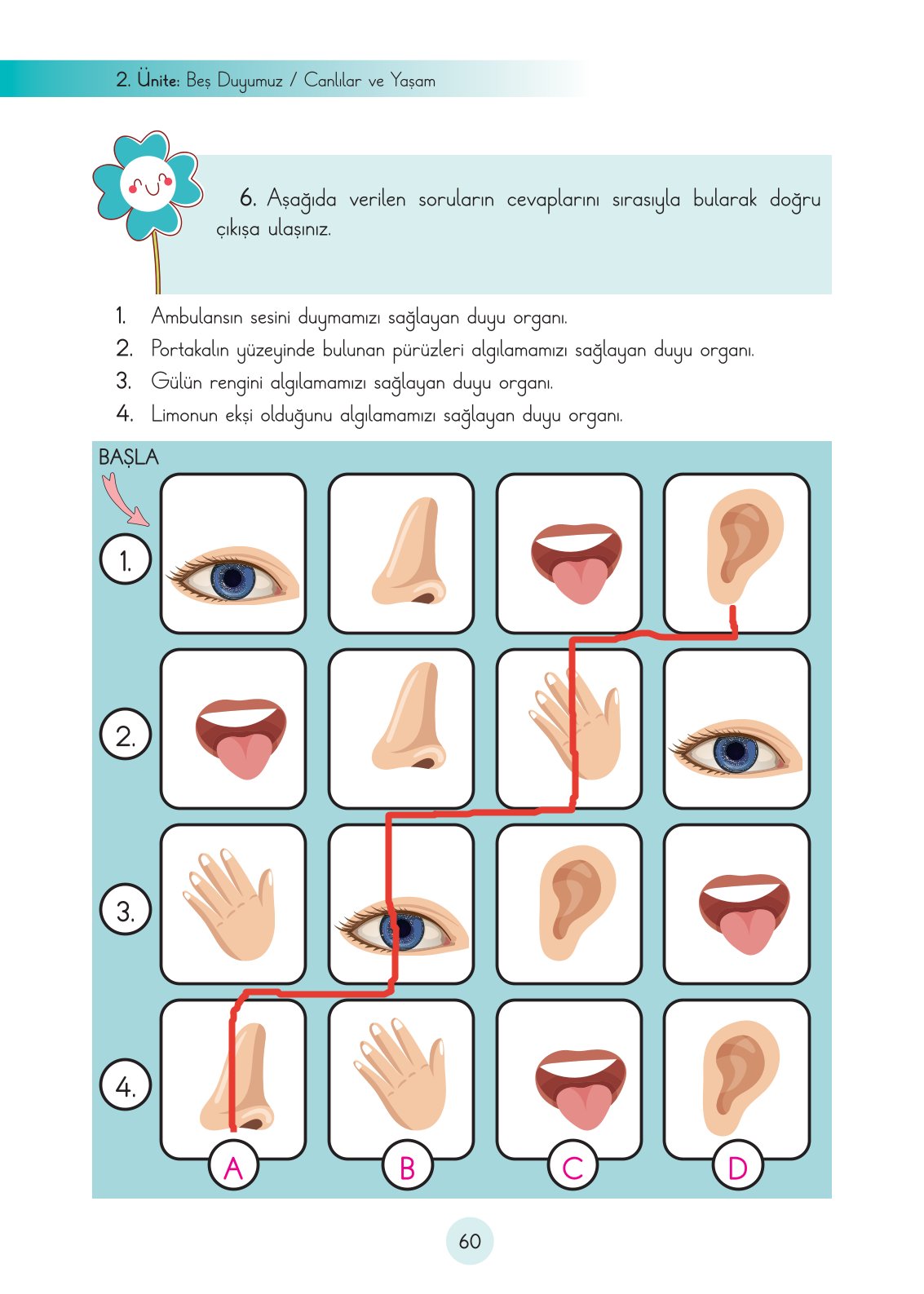 3. Sınıf Fen Bilimleri Ders Kitabı Cem Yayınları Sayfa 60 Cevapları