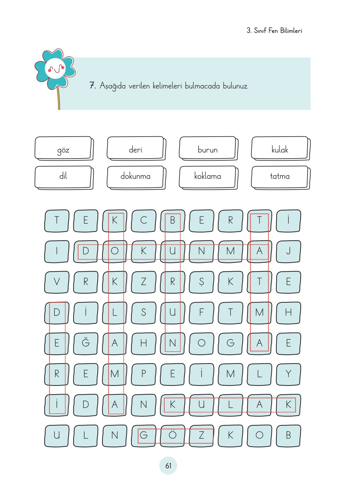 3. Sınıf Fen Bilimleri Ders Kitabı Cem Yayınları Sayfa 61 Cevapları