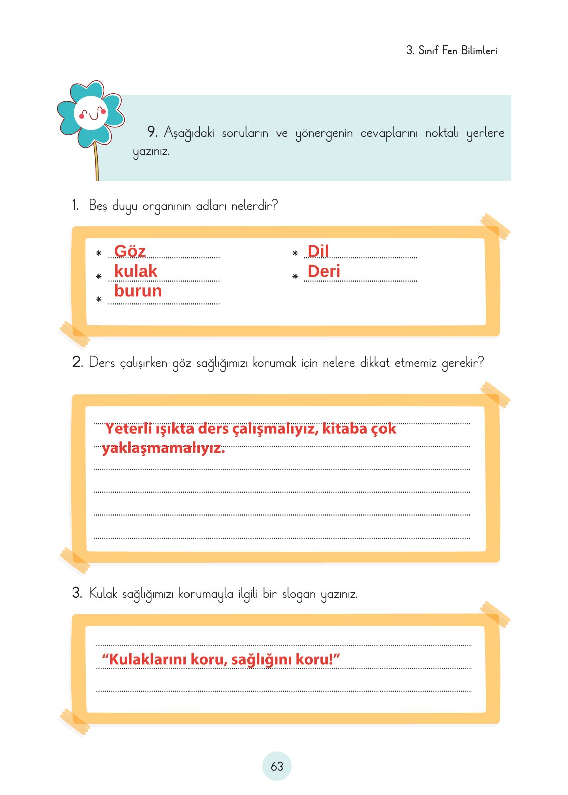 3. Sınıf Fen Bilimleri Ders Kitabı Cem Yayınları Sayfa 63 Cevapları