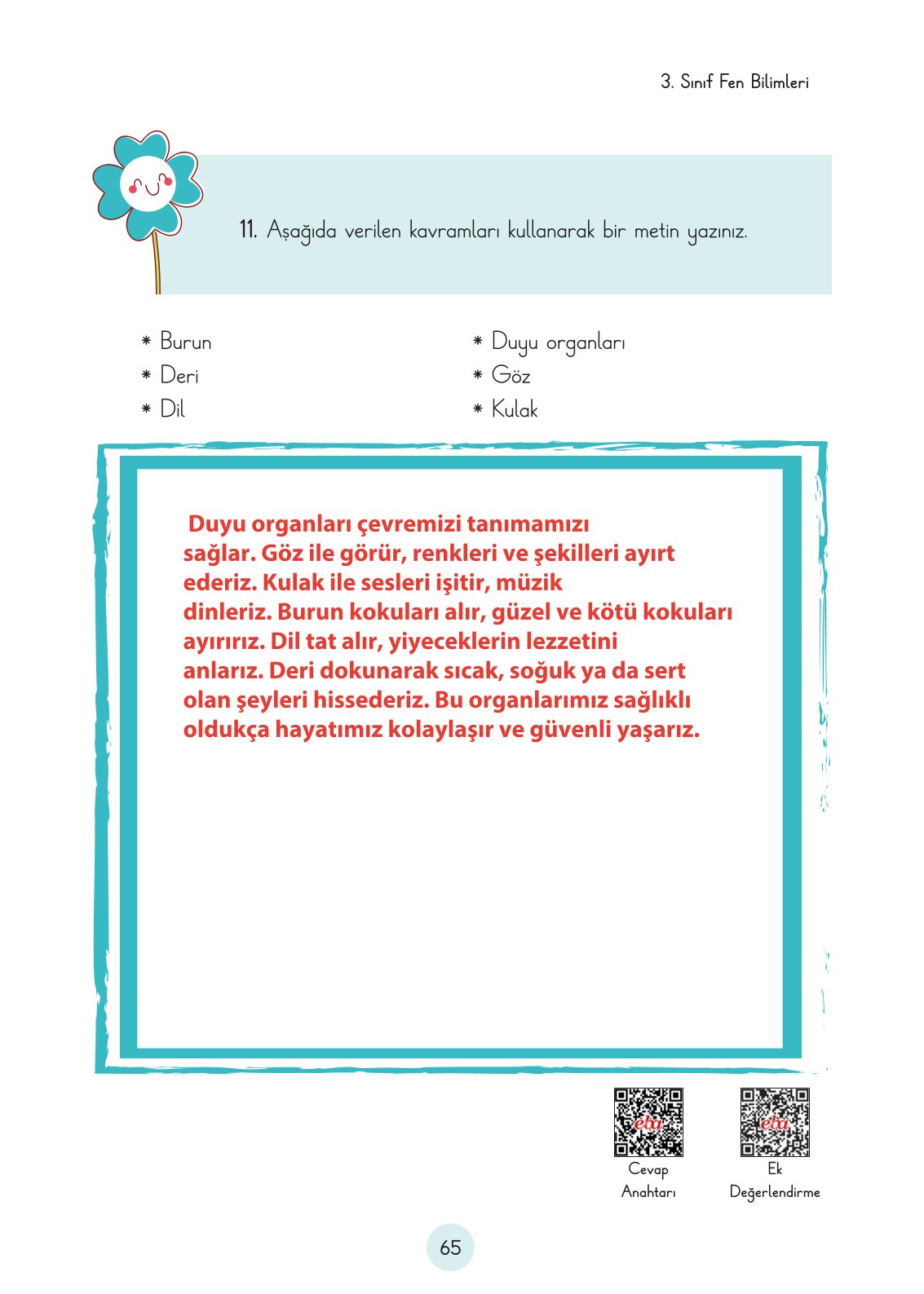 3. Sınıf Fen Bilimleri Ders Kitabı Cem Yayınları Sayfa 65 Cevapları