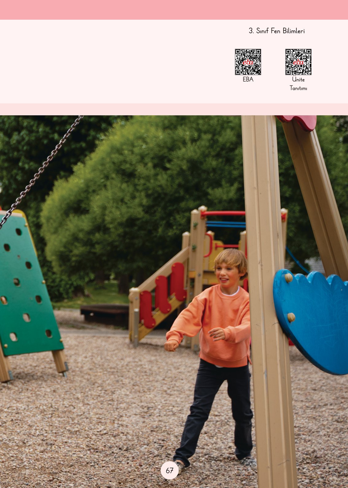 3. Sınıf Fen Bilimleri Ders Kitabı Cem Yayınları Sayfa 67 Cevapları 3. Sınıf Fen Bilimleri Ders Kitabı Cem Yayınları Sayfa 67 Cevapları