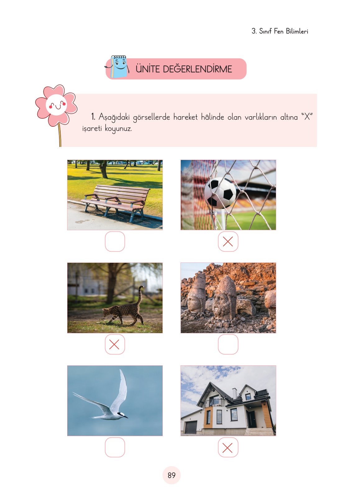 3. Sınıf Fen Bilimleri Ders Kitabı Cem Yayınları Sayfa 89 Cevapları