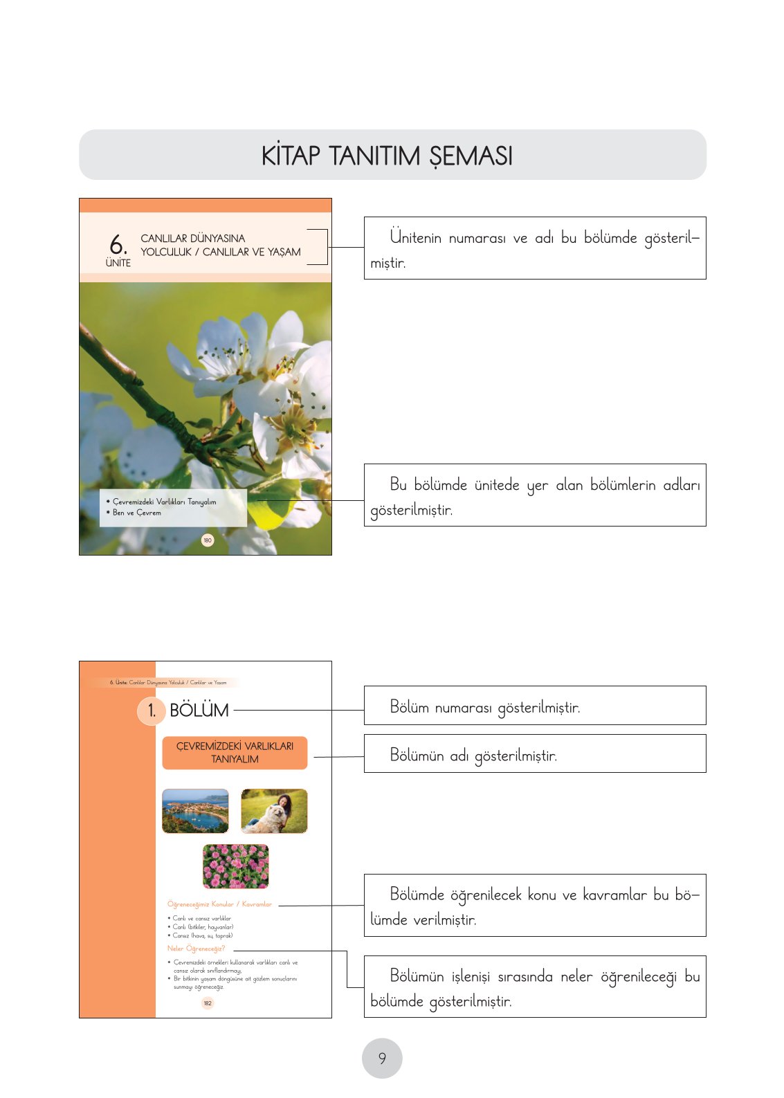 3. Sınıf Fen Bilimleri Ders Kitabı Cem Yayınları Sayfa 9 Cevapları