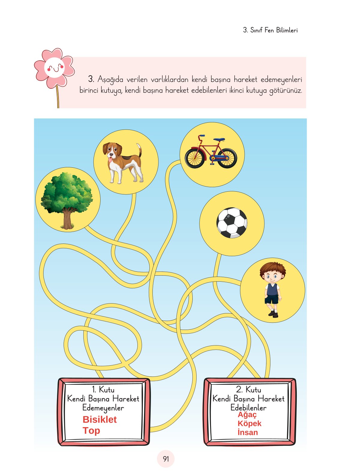 3. Sınıf Fen Bilimleri Ders Kitabı Cem Yayınları Sayfa 91 Cevapları