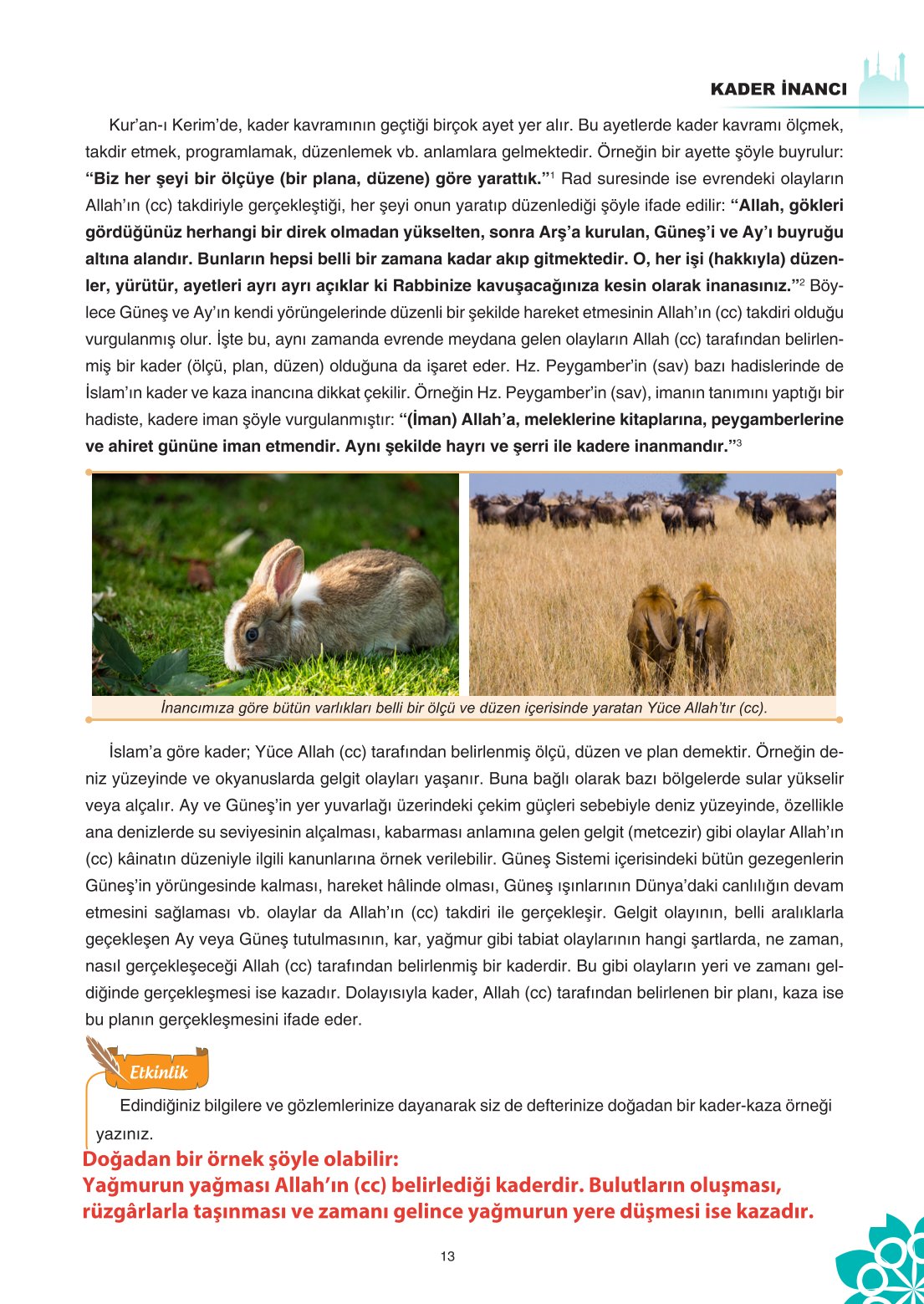 8. Sınıf Din Kültürü Ve Ahlak Bilgisi Ders Kitabı Sdr İpekyolu Yayınları Sayfa 13 Cevapları