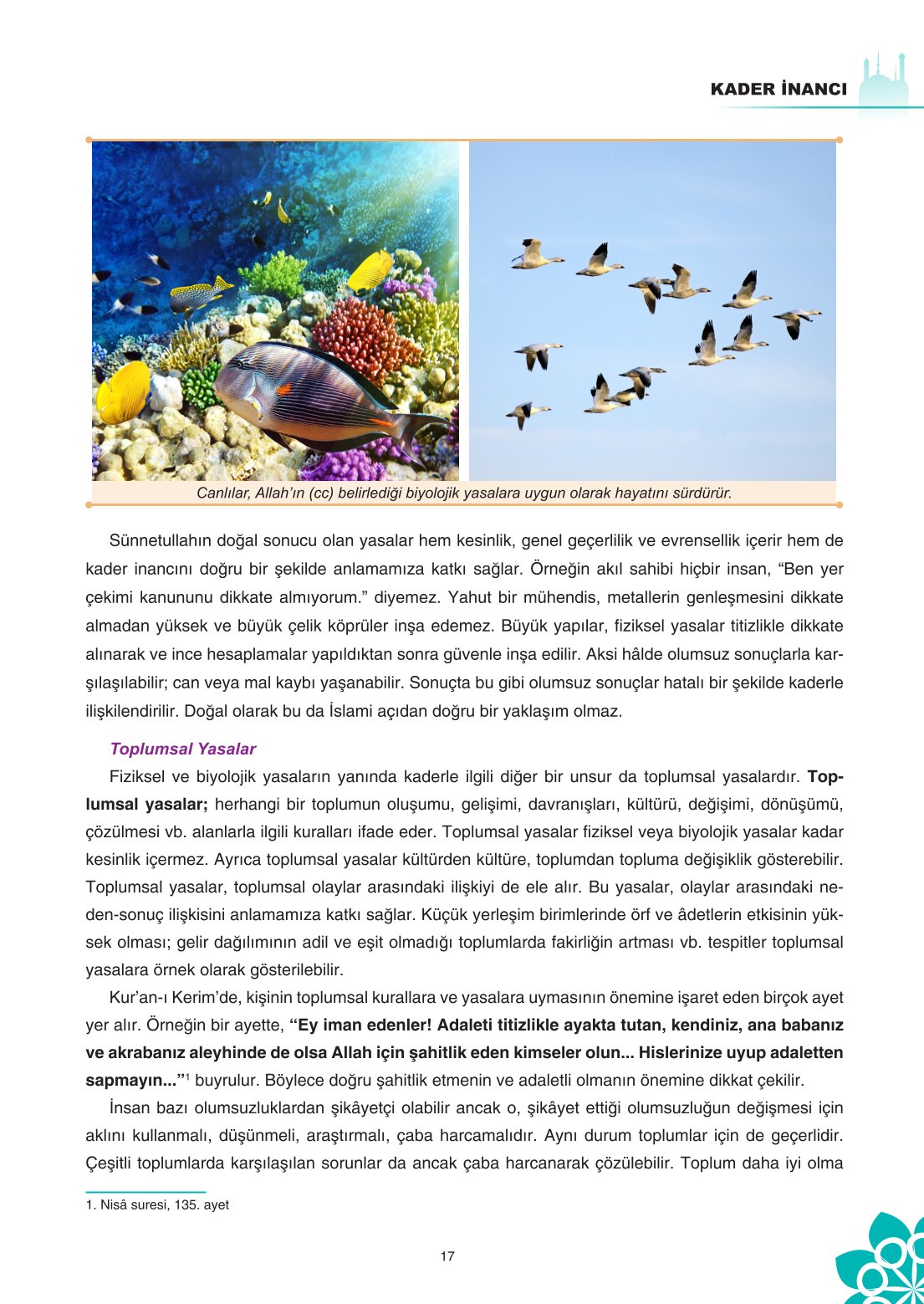 8. Sınıf Din Kültürü Ve Ahlak Bilgisi Ders Kitabı Sdr İpekyolu Yayınları Sayfa 17 Cevapları