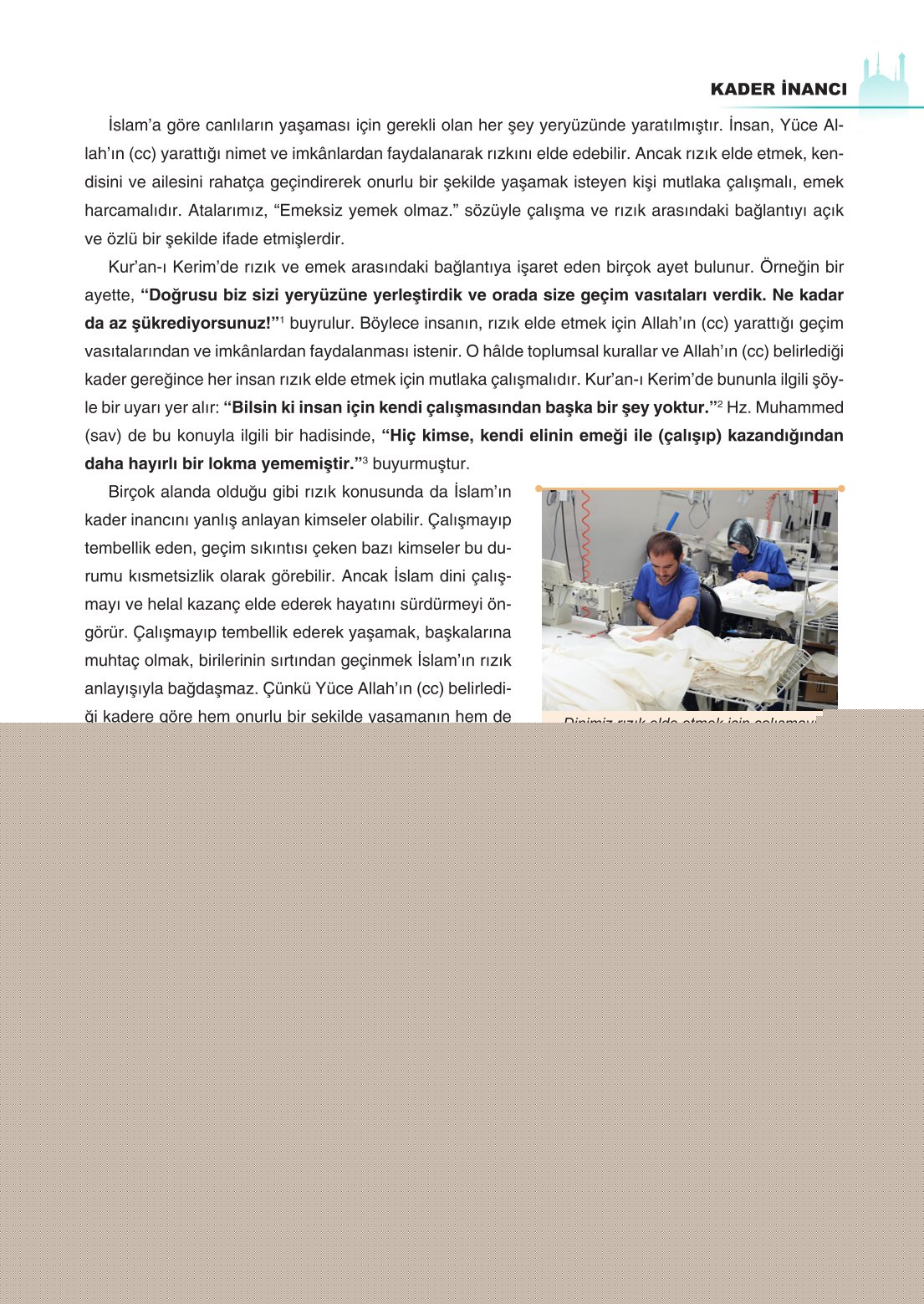 8. Sınıf Din Kültürü Ve Ahlak Bilgisi Ders Kitabı Sdr İpekyolu Yayınları Sayfa 25 Cevapları