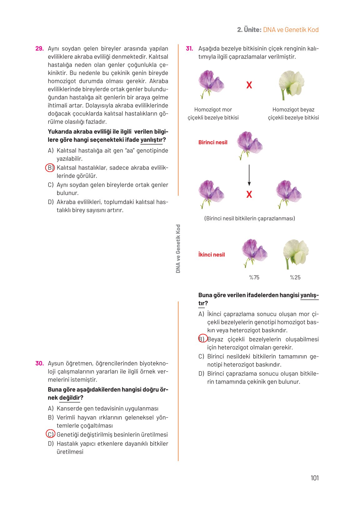 8. Sınıf Fen Bilimleri Ders Kitabı Hecce Yayınları Sayfa 101 Cevapları