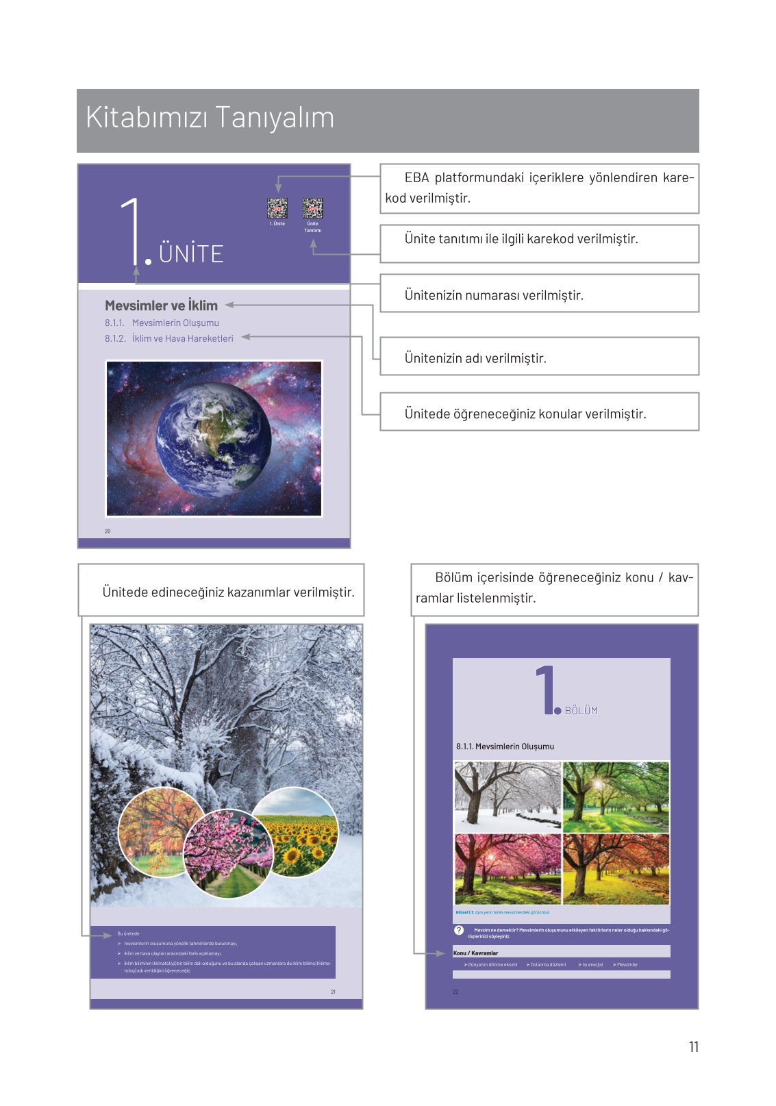 8. Sınıf Fen Bilimleri Ders Kitabı Hecce Yayınları Sayfa 11 Cevapları