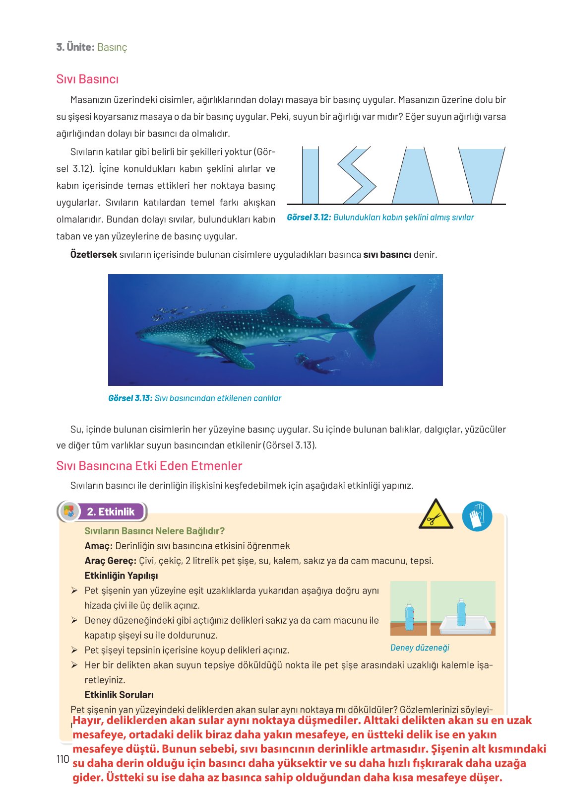8. Sınıf Fen Bilimleri Ders Kitabı Hecce Yayınları Sayfa 110 Cevapları