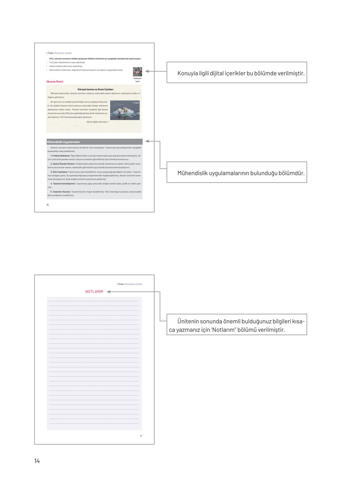 8. Sınıf Fen Bilimleri Ders Kitabı Hecce Yayınları Sayfa 14 Cevapları