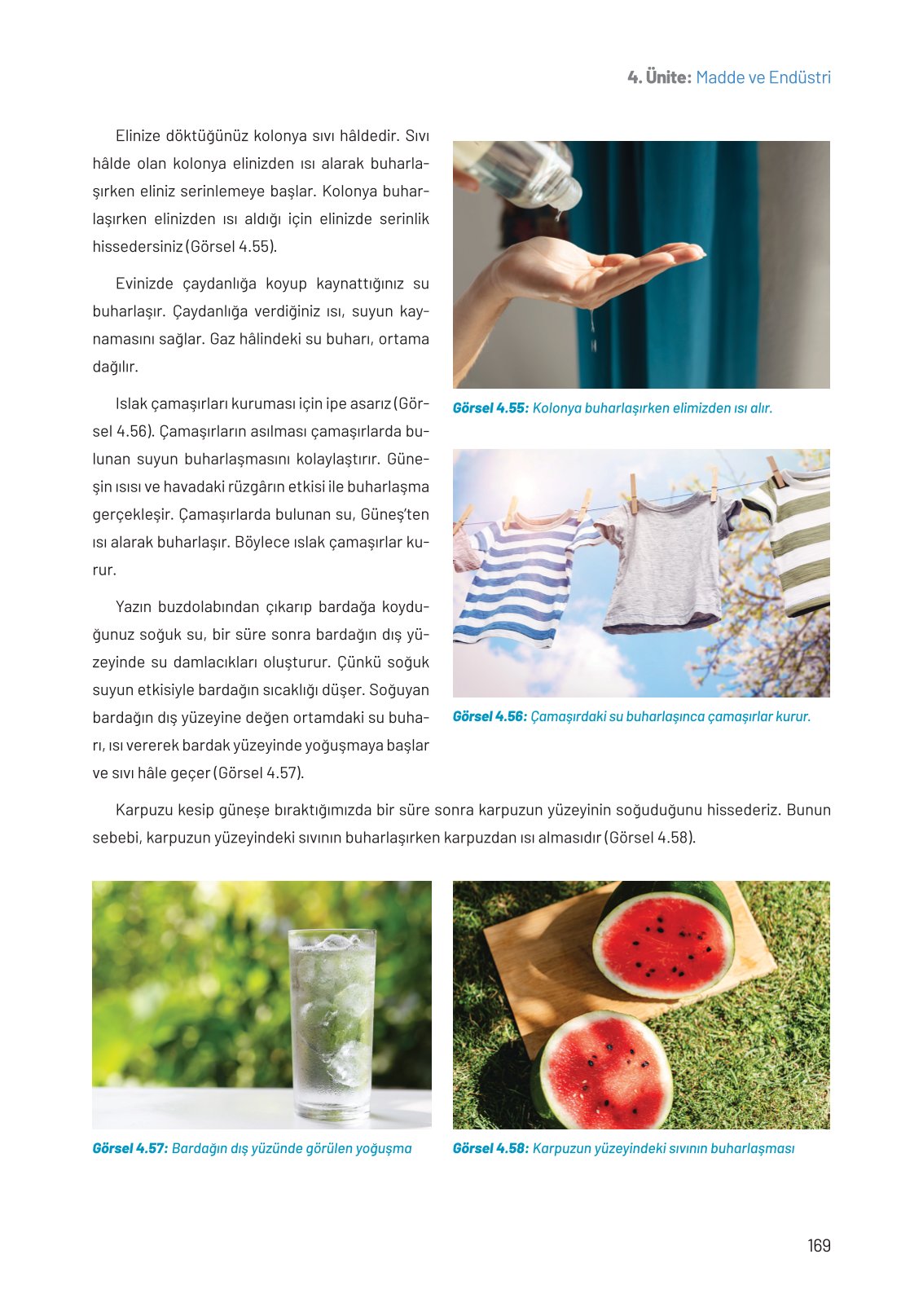 8. Sınıf Fen Bilimleri Ders Kitabı Hecce Yayınları Sayfa 169 Cevapları