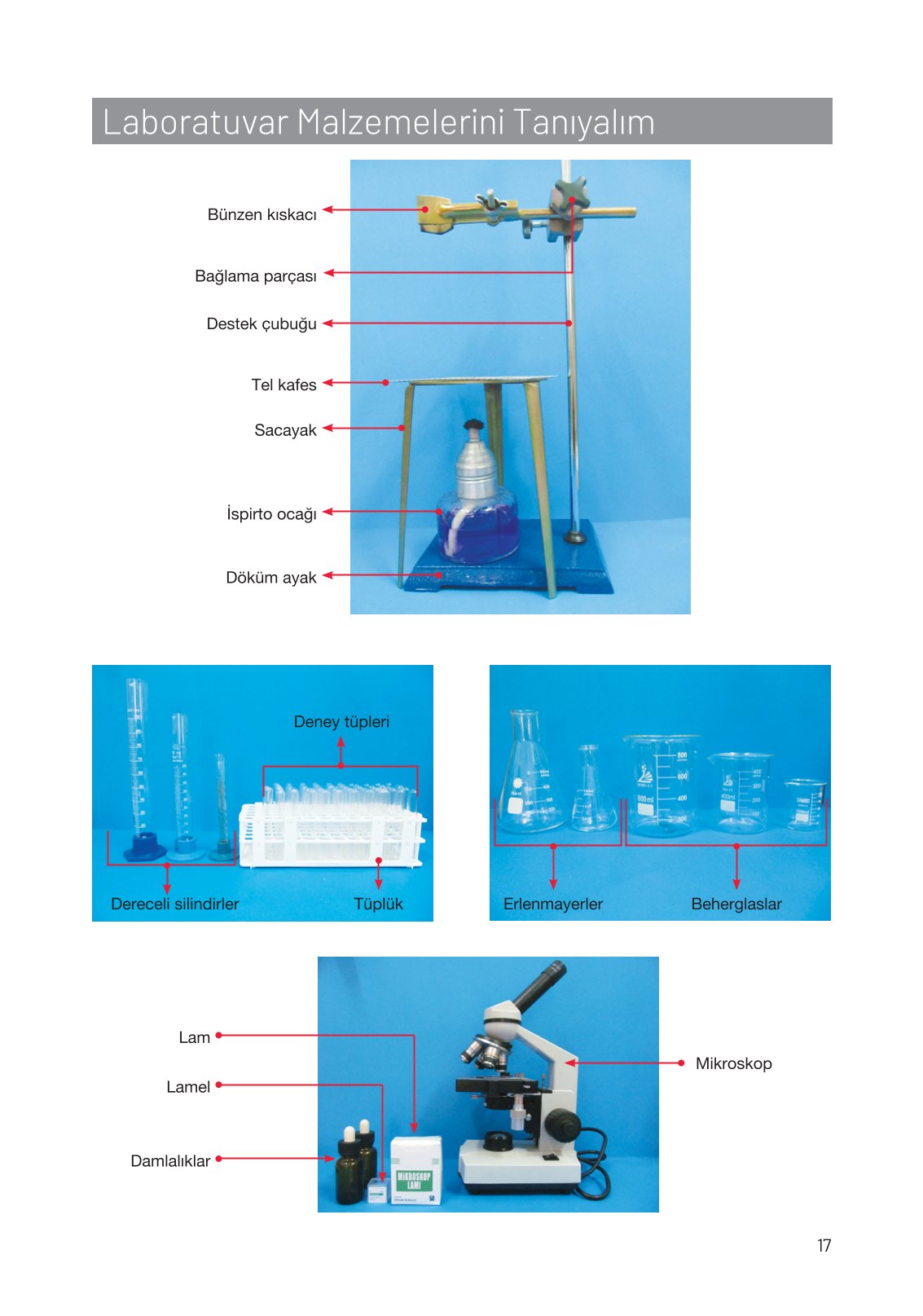 8. Sınıf Fen Bilimleri Ders Kitabı Hecce Yayınları Sayfa 17 Cevapları