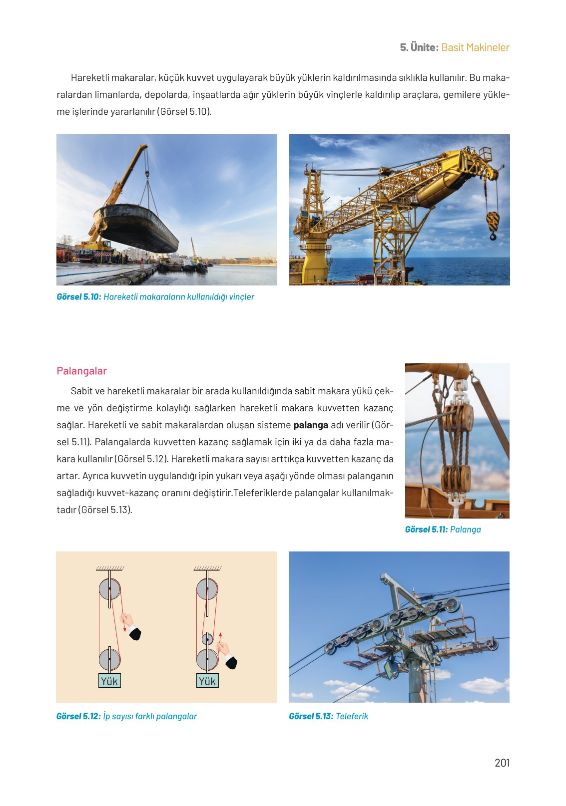 8. Sınıf Fen Bilimleri Ders Kitabı Hecce Yayınları Sayfa 201 Cevapları